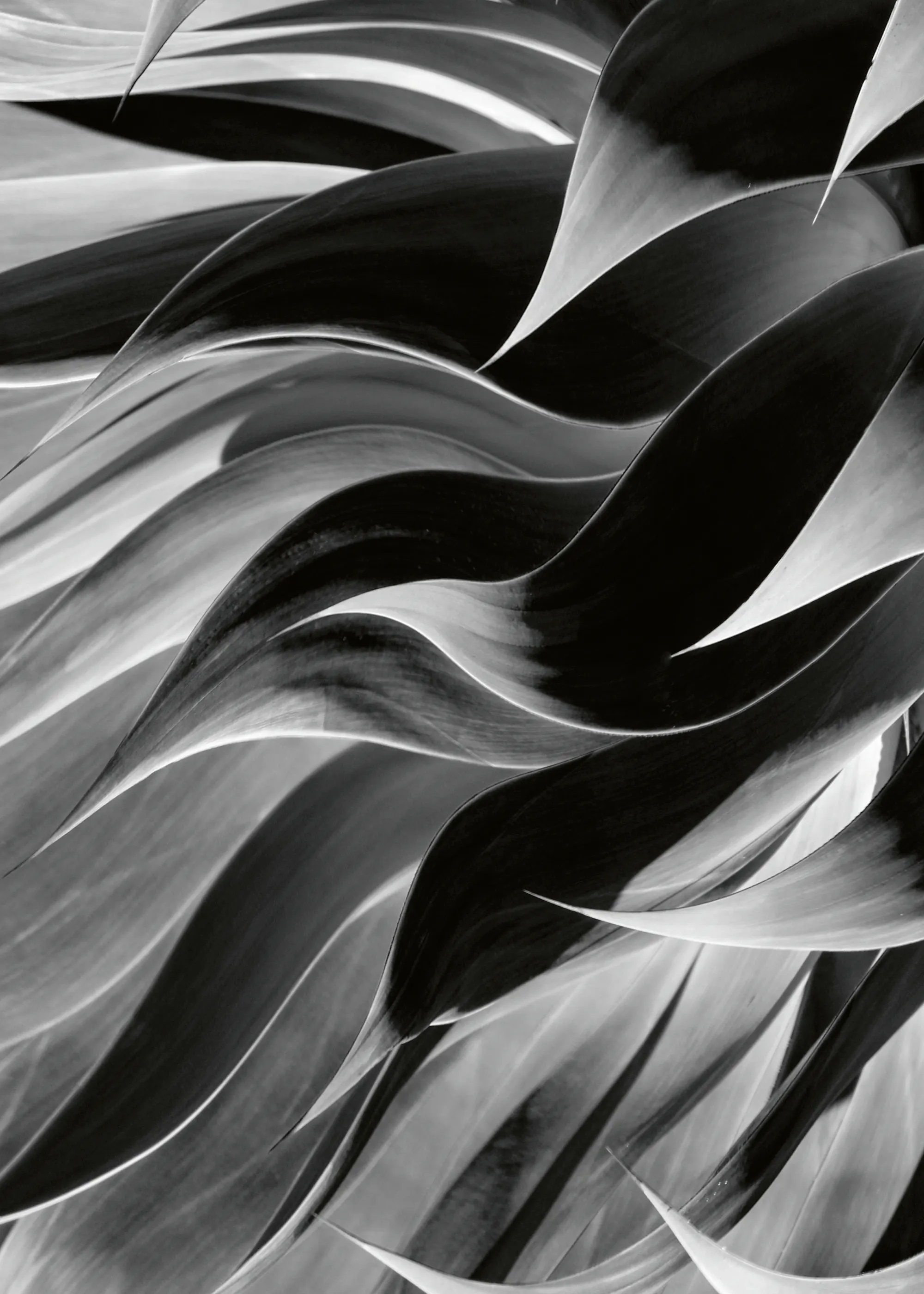 Fließende Schatten Poster 0