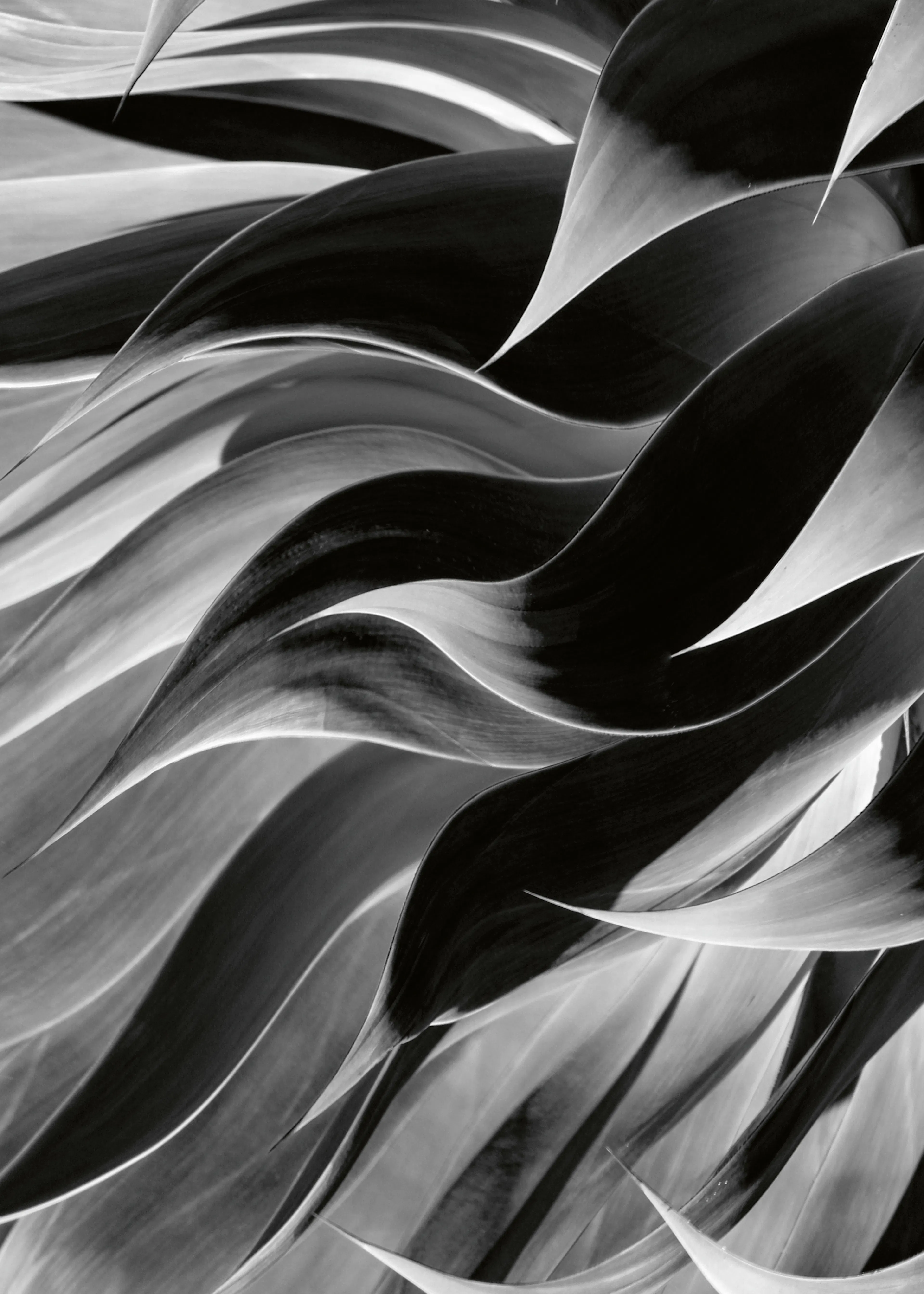 Flowing Shadows Poster 0
