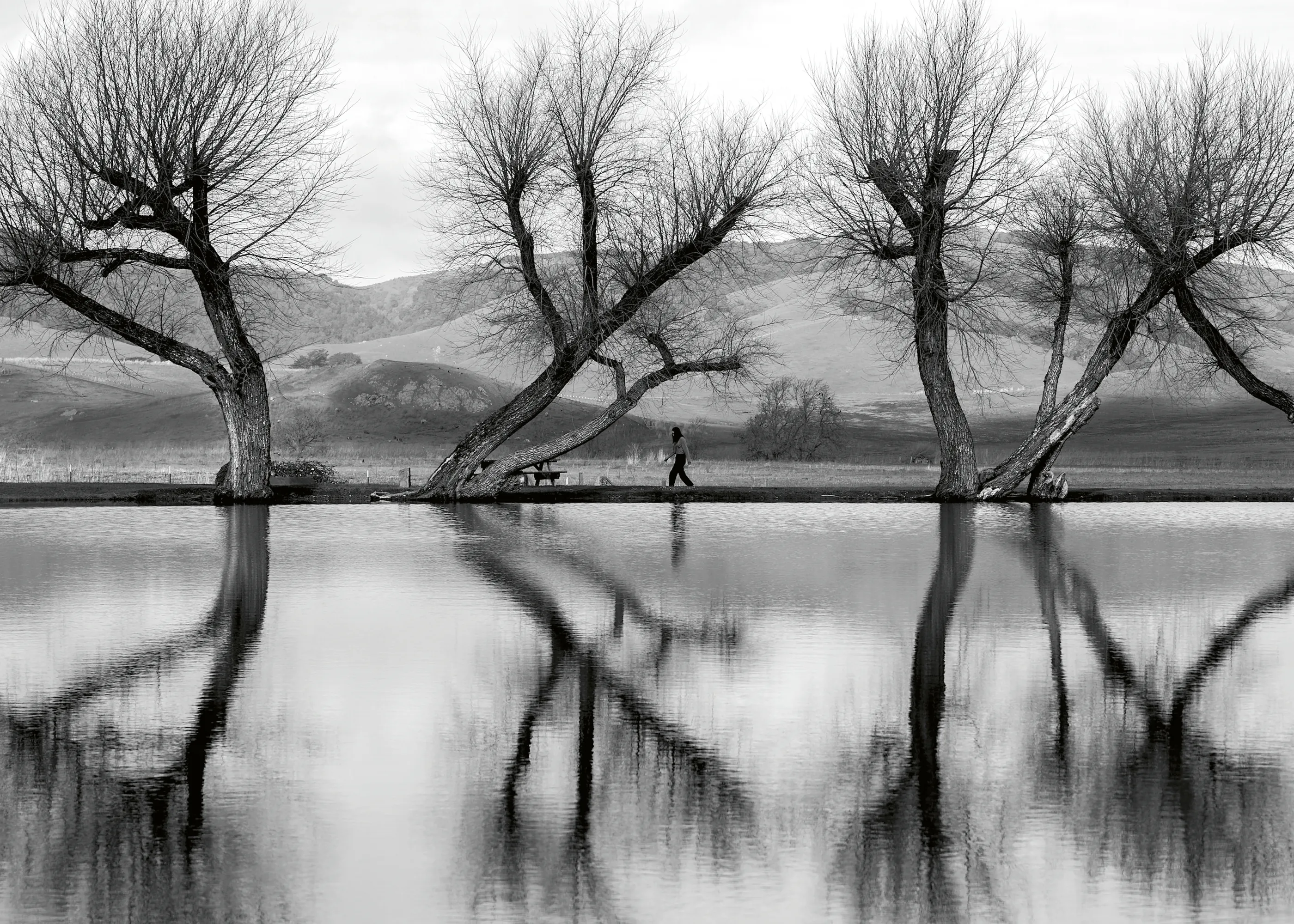 Silent Reflections Poster 0