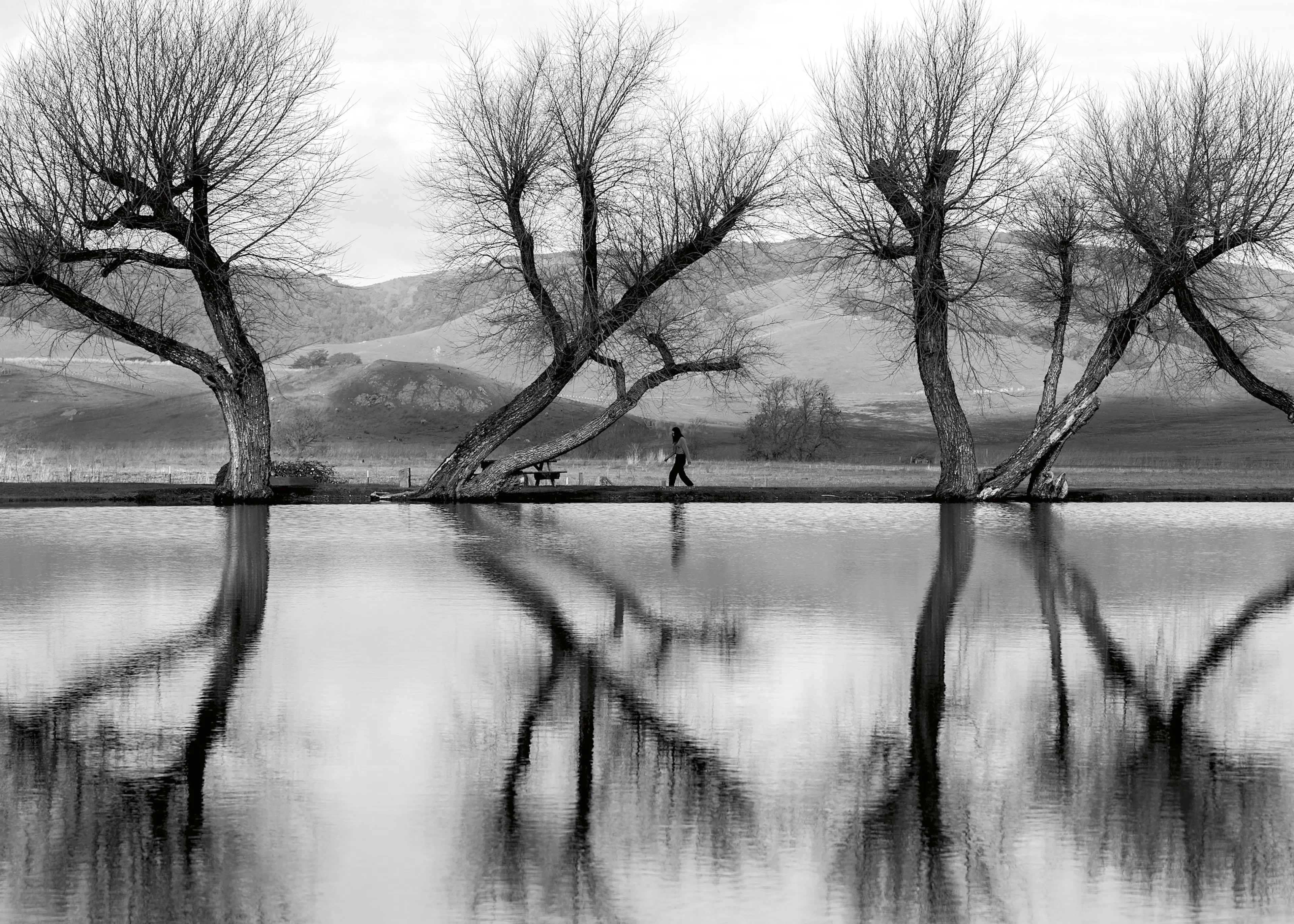 Silent Reflections Poster 0
