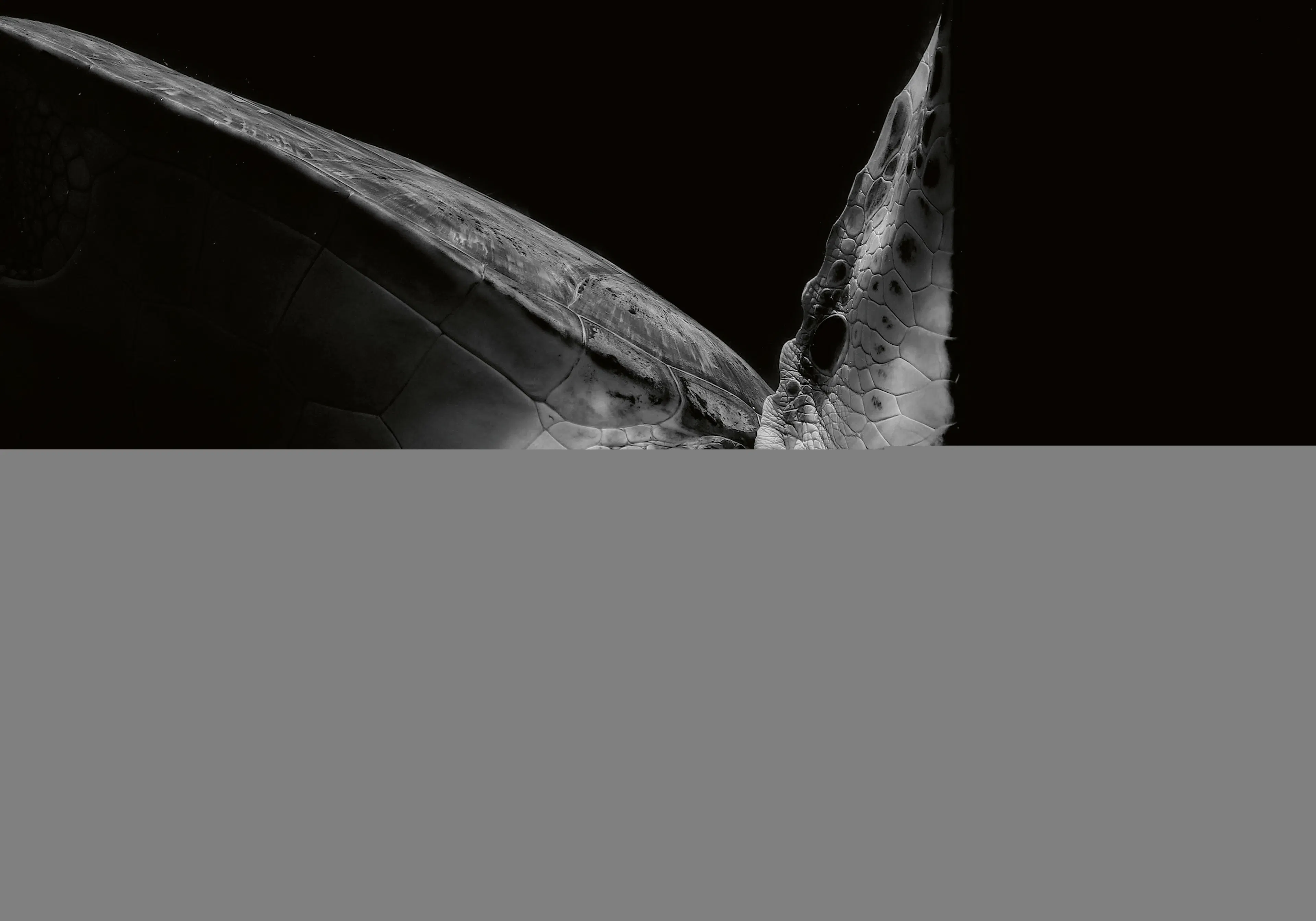 Product image: 1