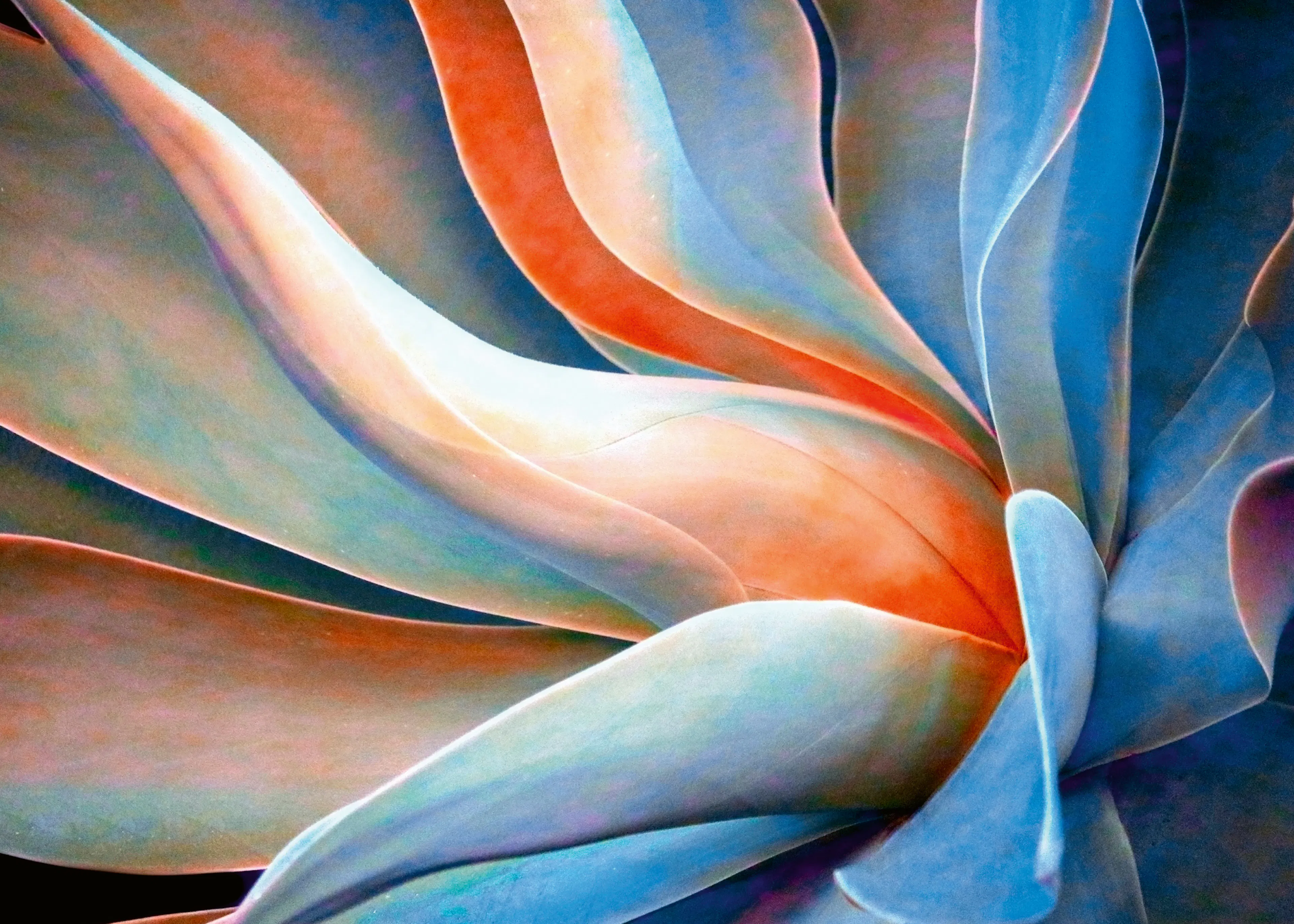 Soft Blue Abstract Bloom Poster 0