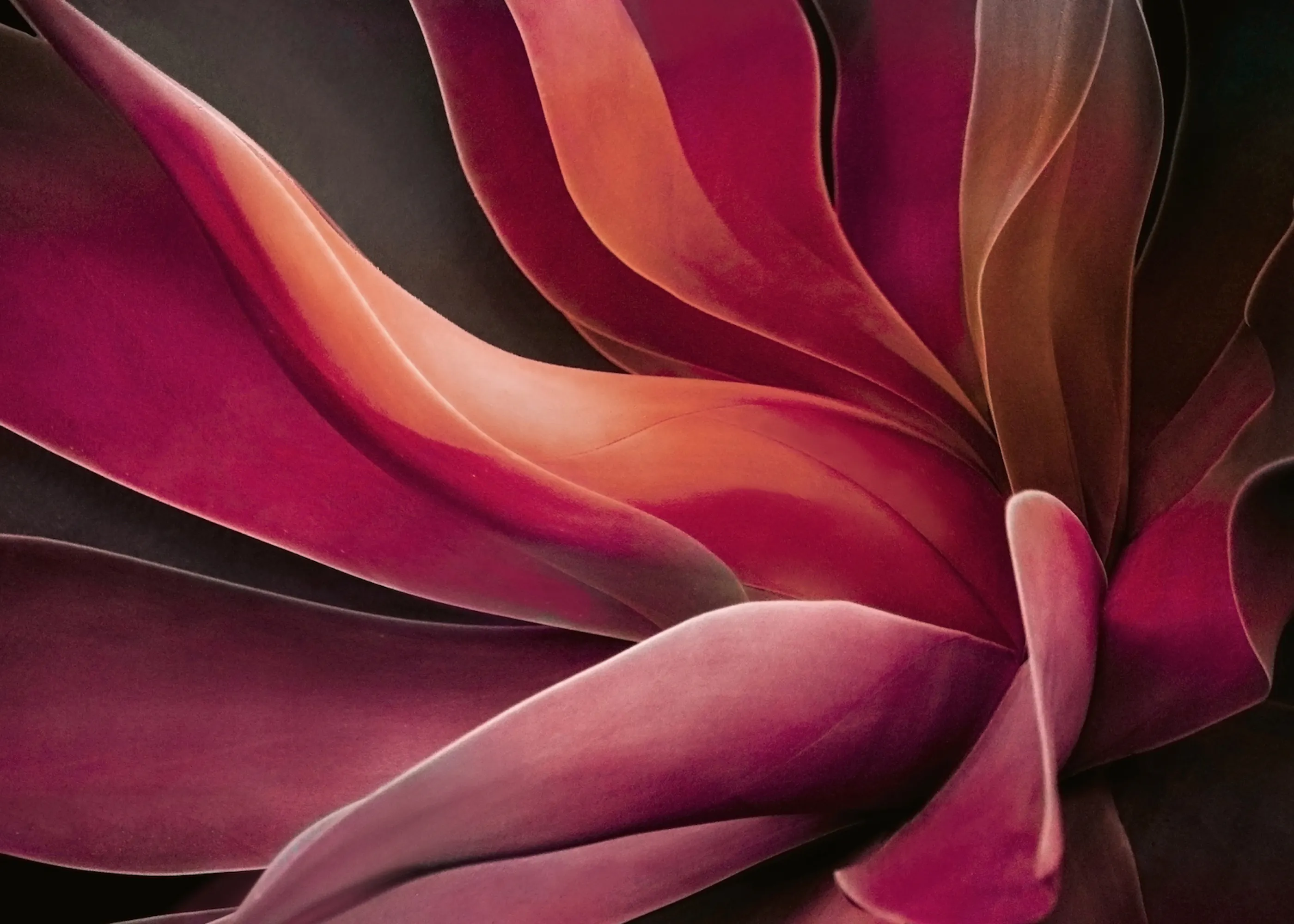 Red Abstract Floral Poster 0