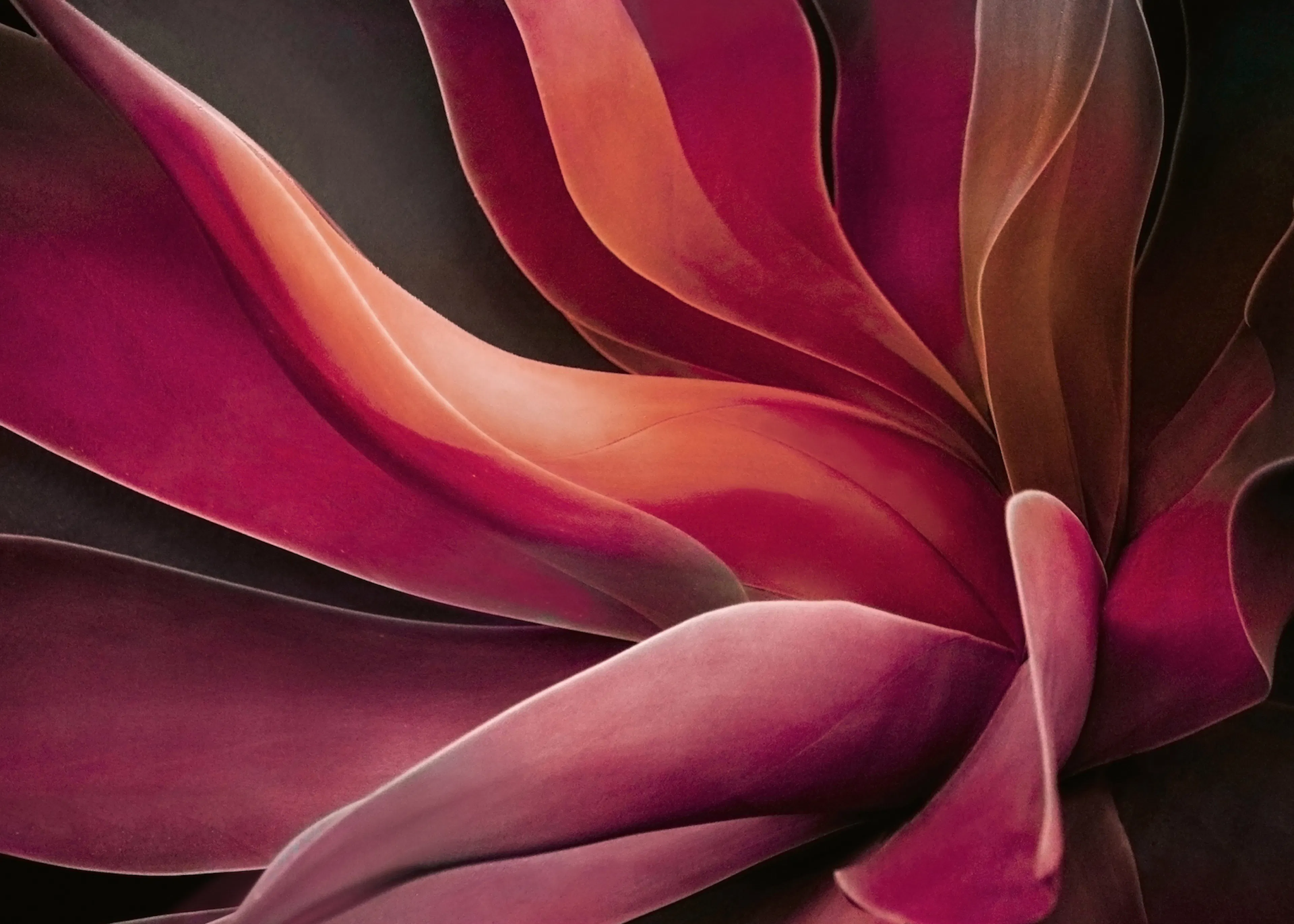 Red Abstract Floral Poster 0