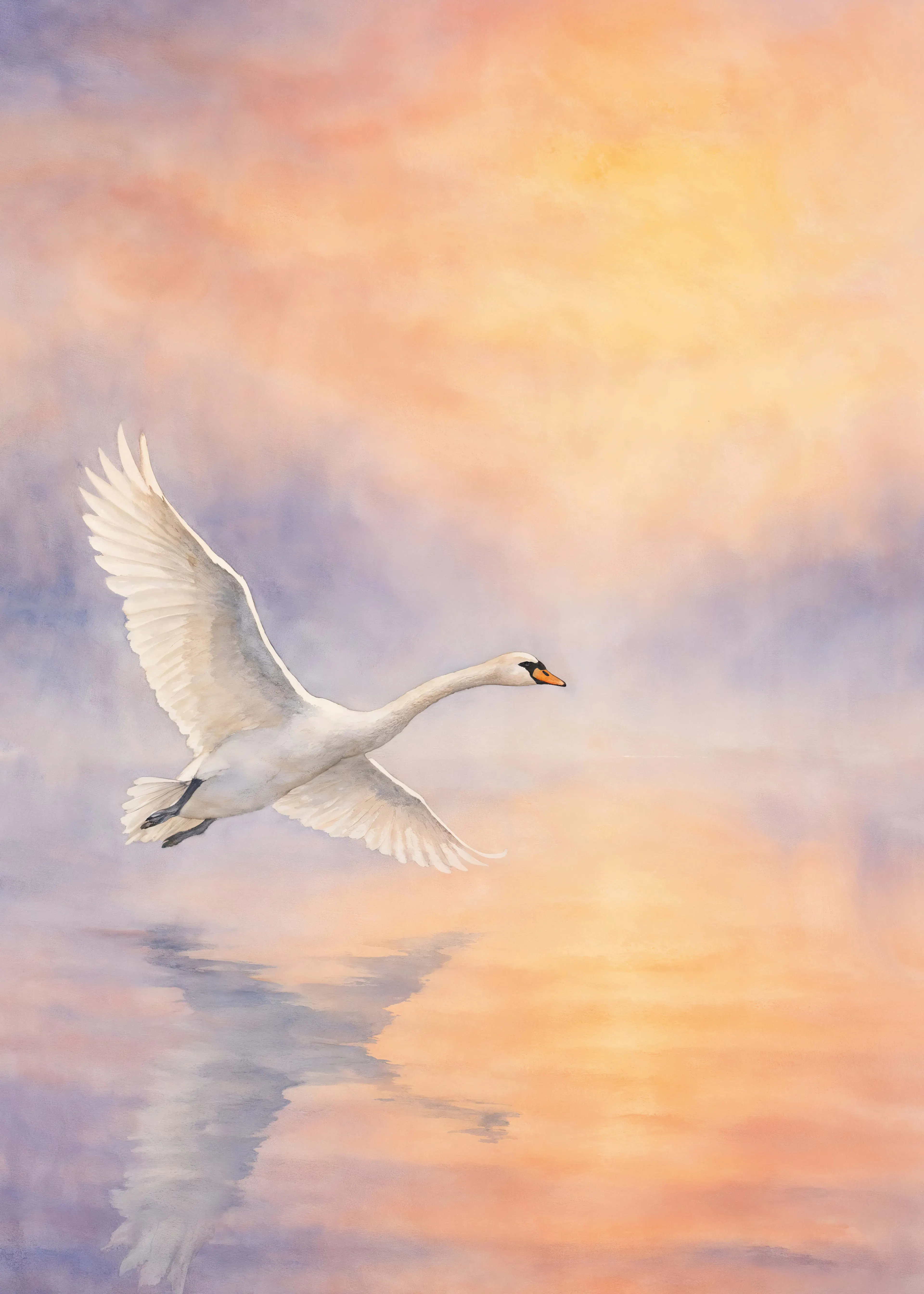 Orange Serene Swan Poster 0