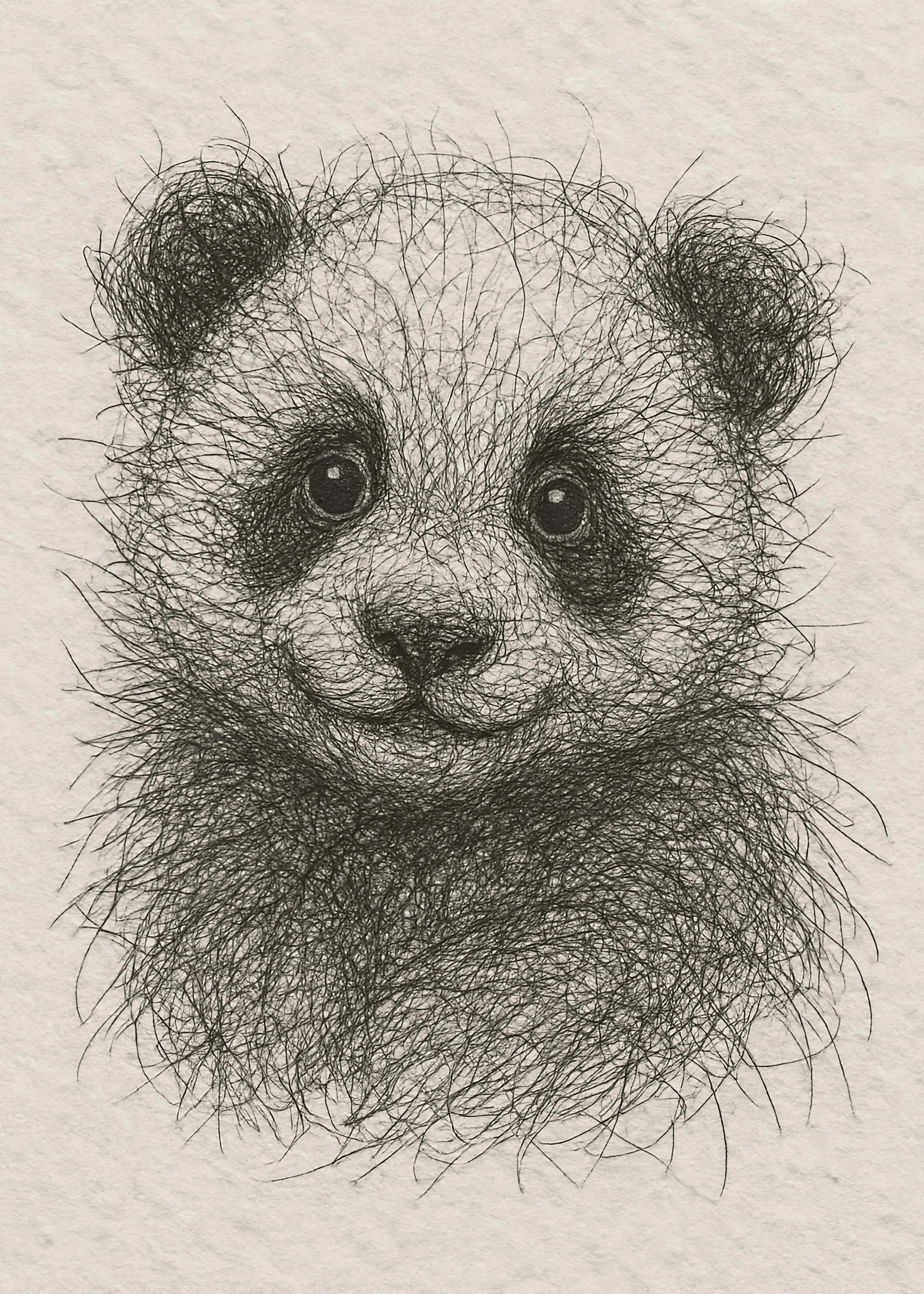 Panda Sketch Poster 0