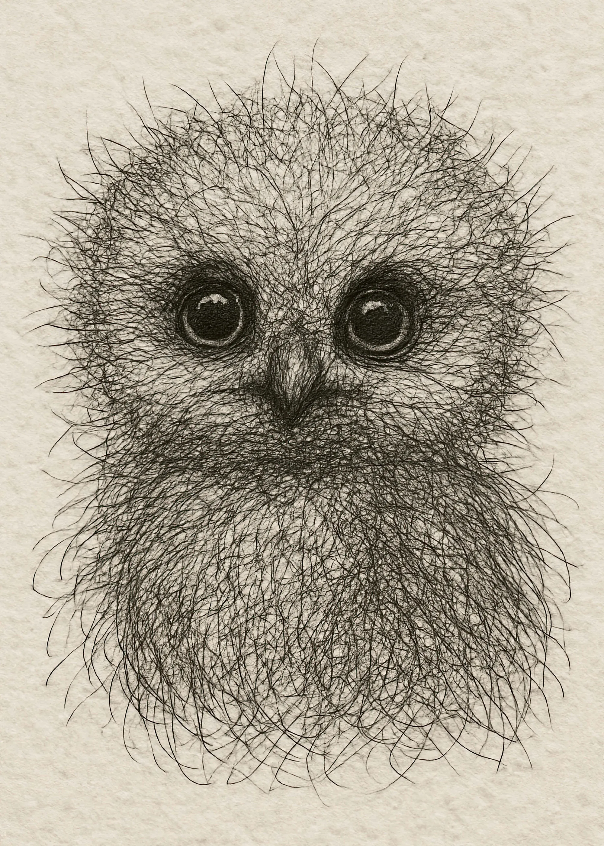 Fuzzy Owl Poster 0