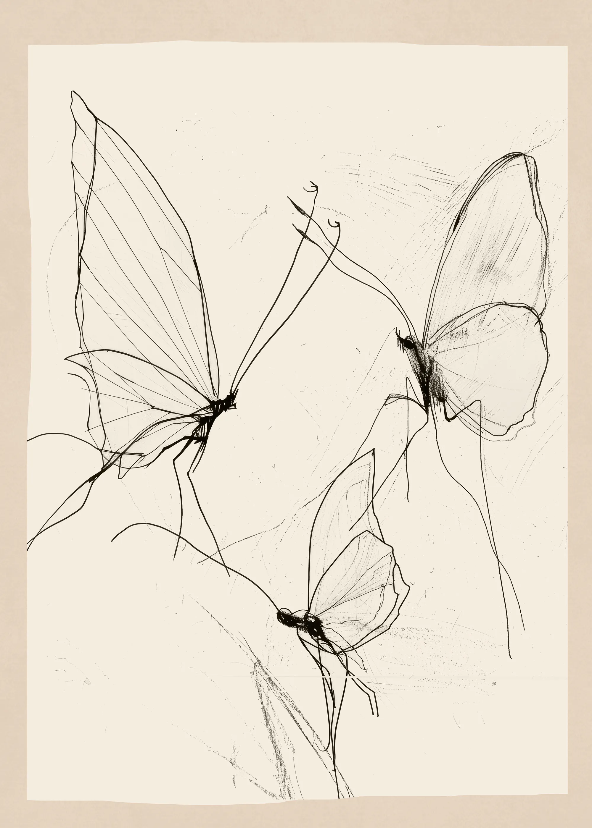 Papillons Délicats Poster 0