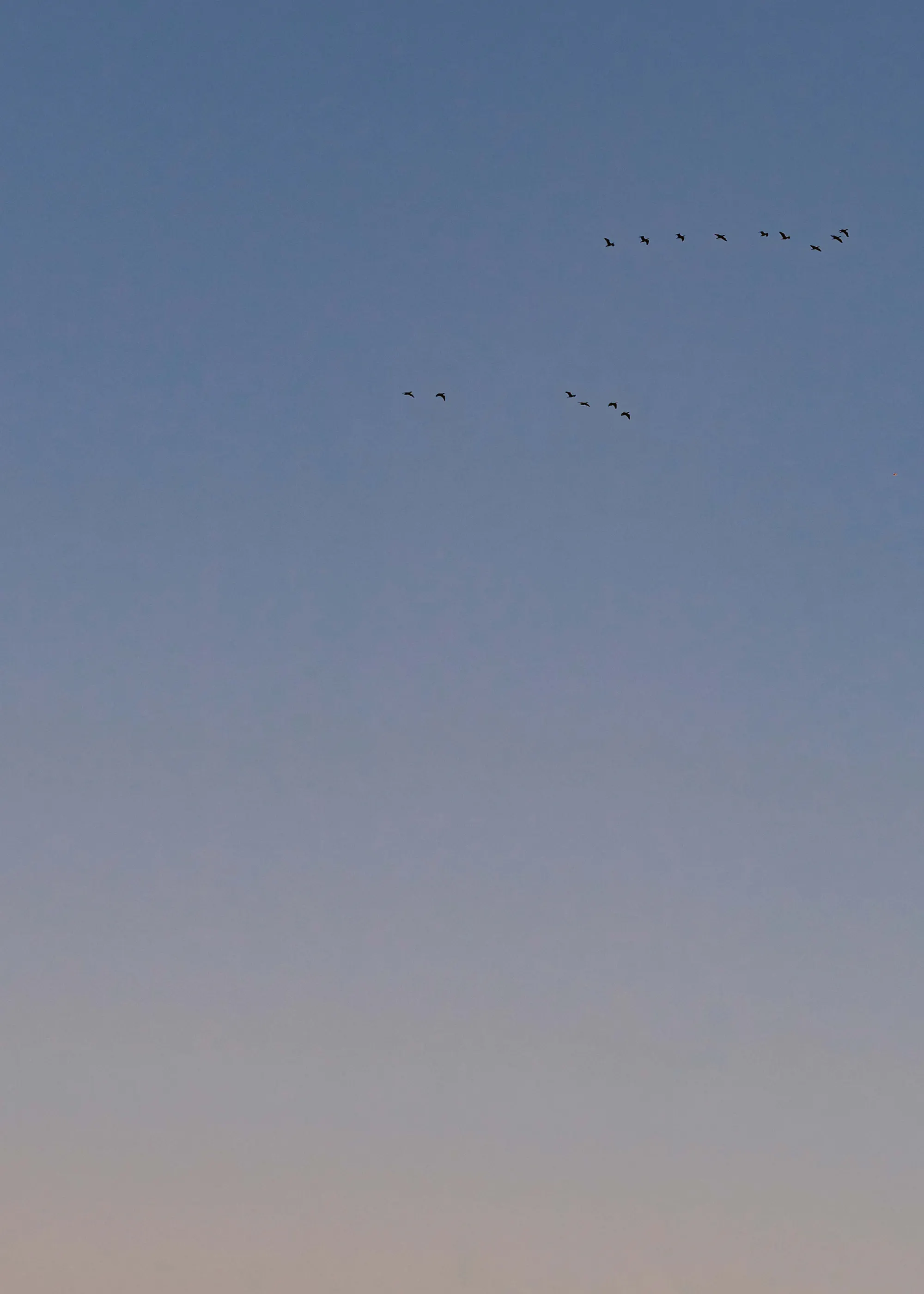 Sky Flight Poster 0