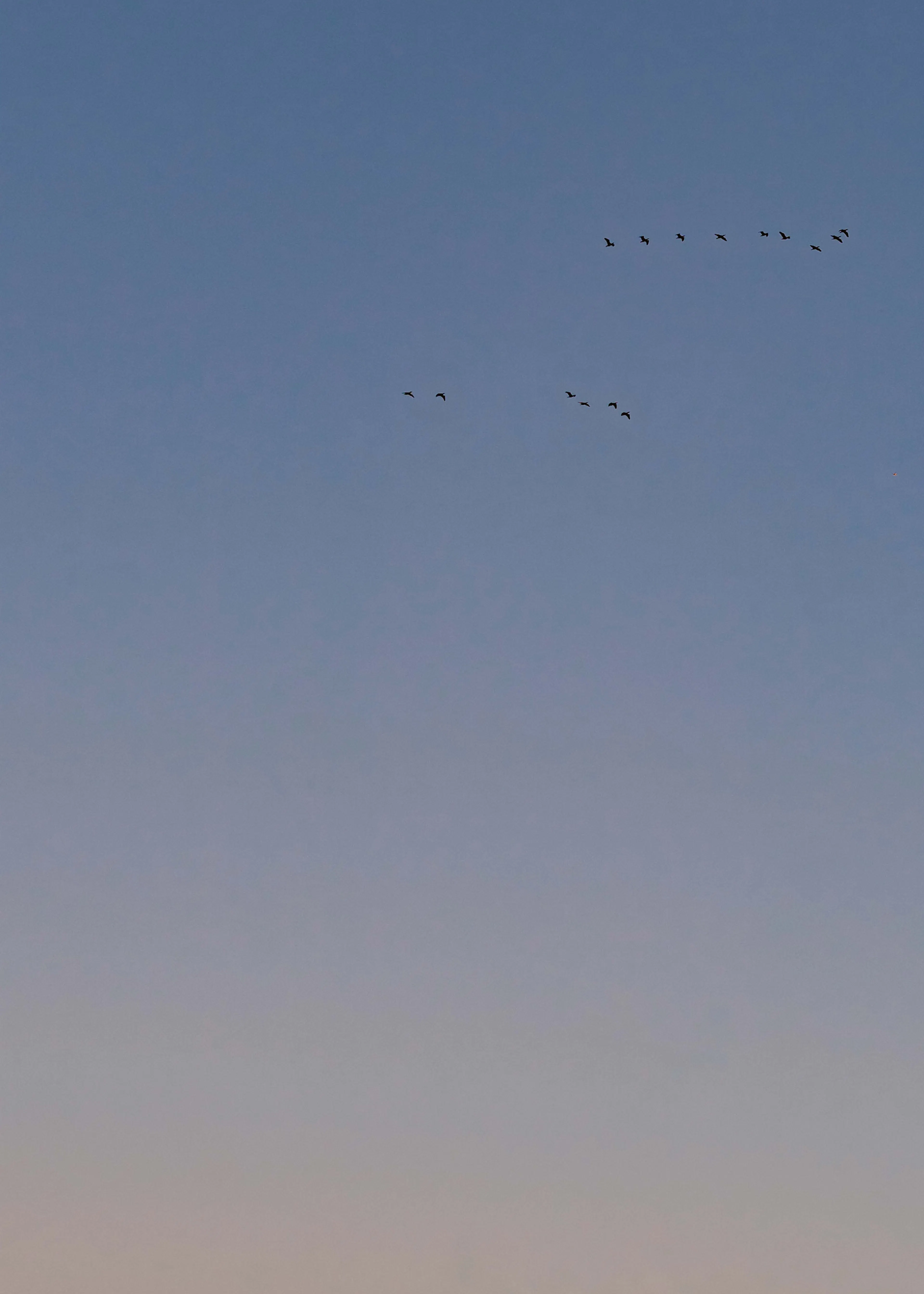 Sky Flight Poster 0