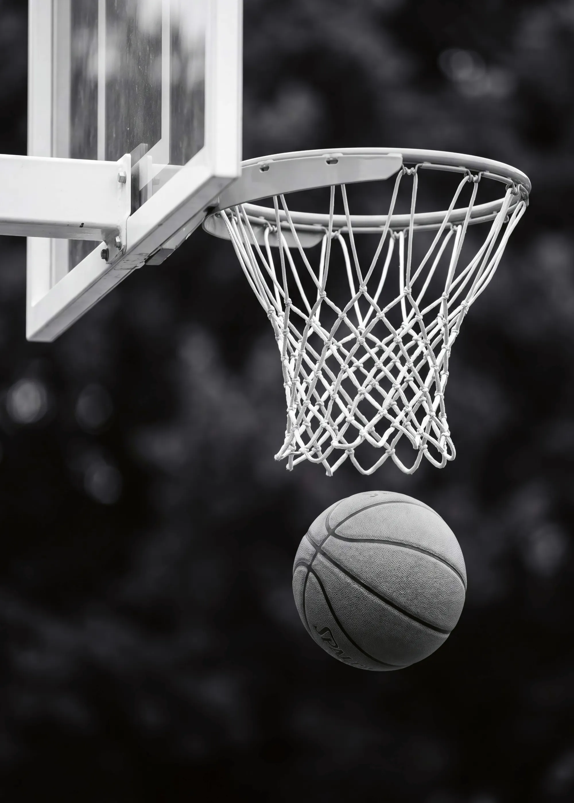 Basketball Skud Plakat 0