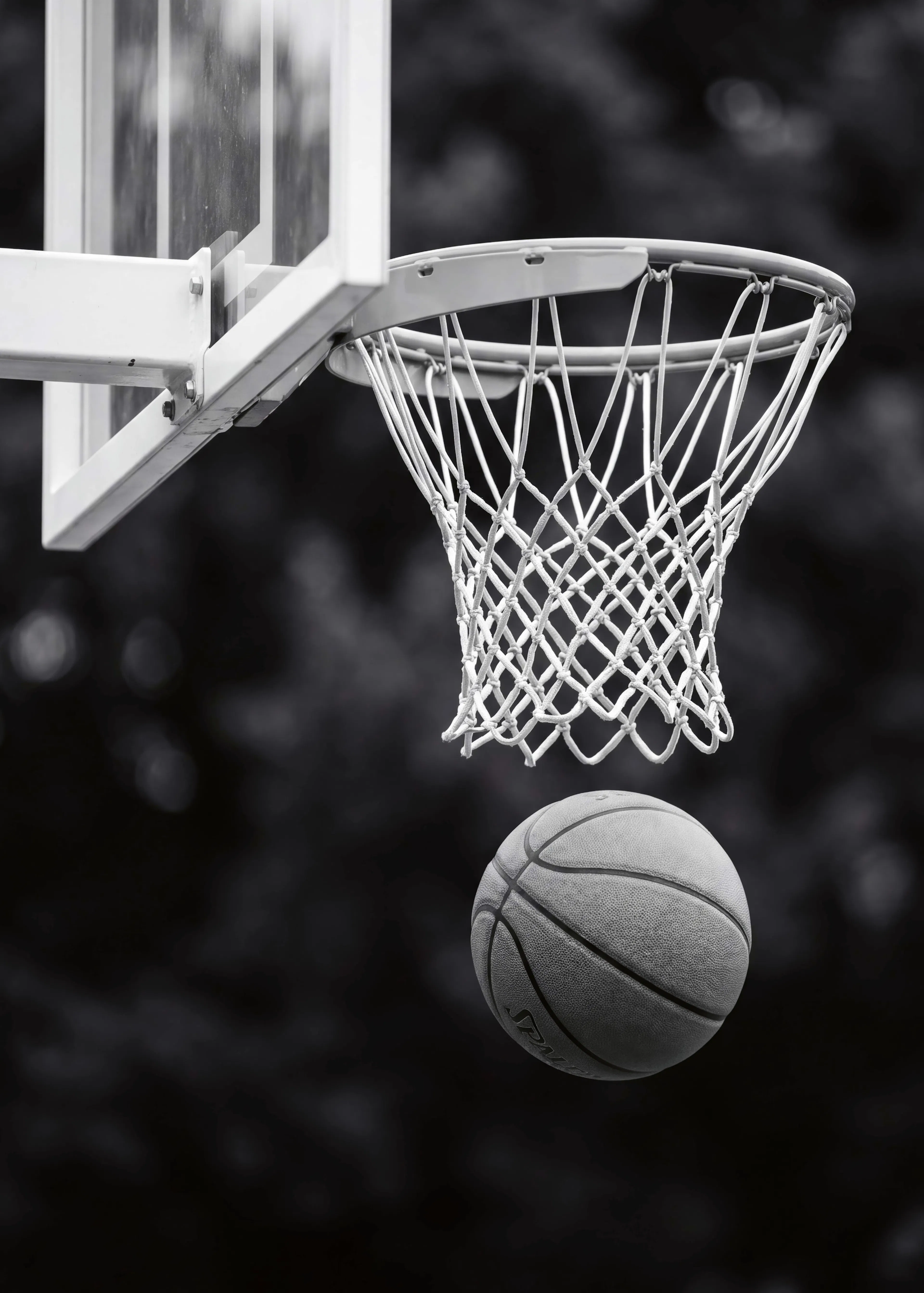 Tiro de Baloncesto Póster 0
