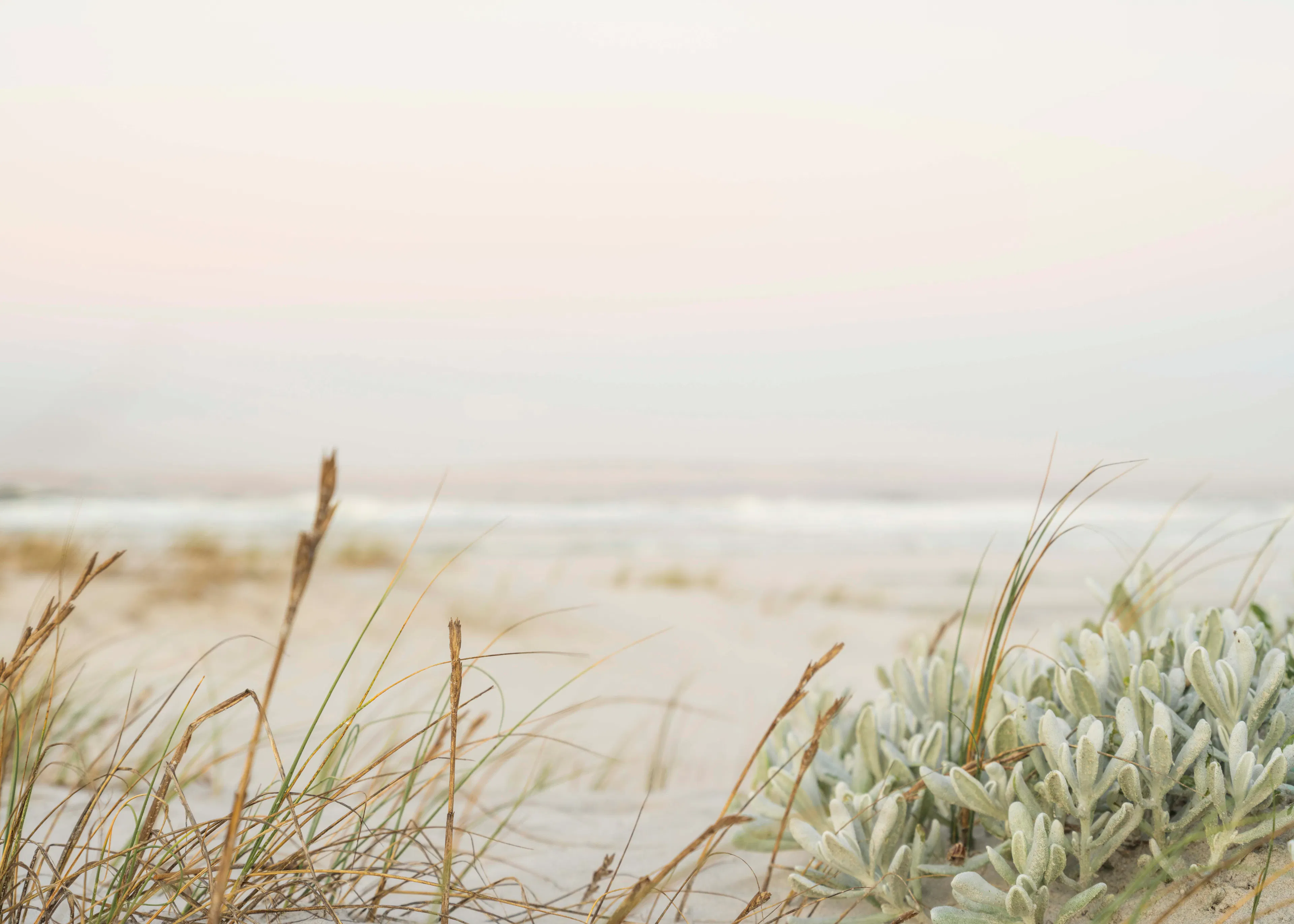 Soft Beige Serene Beach Poster 0