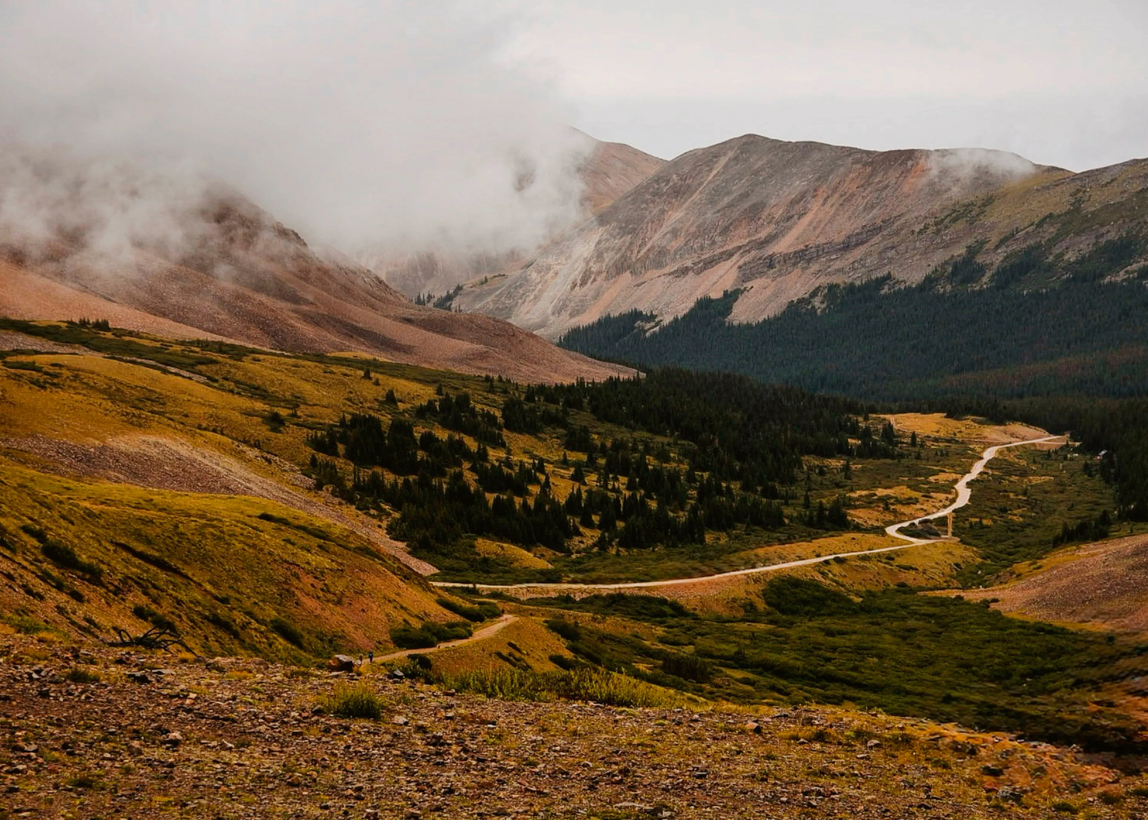 Brown Misty Mountain Trail Poster 0