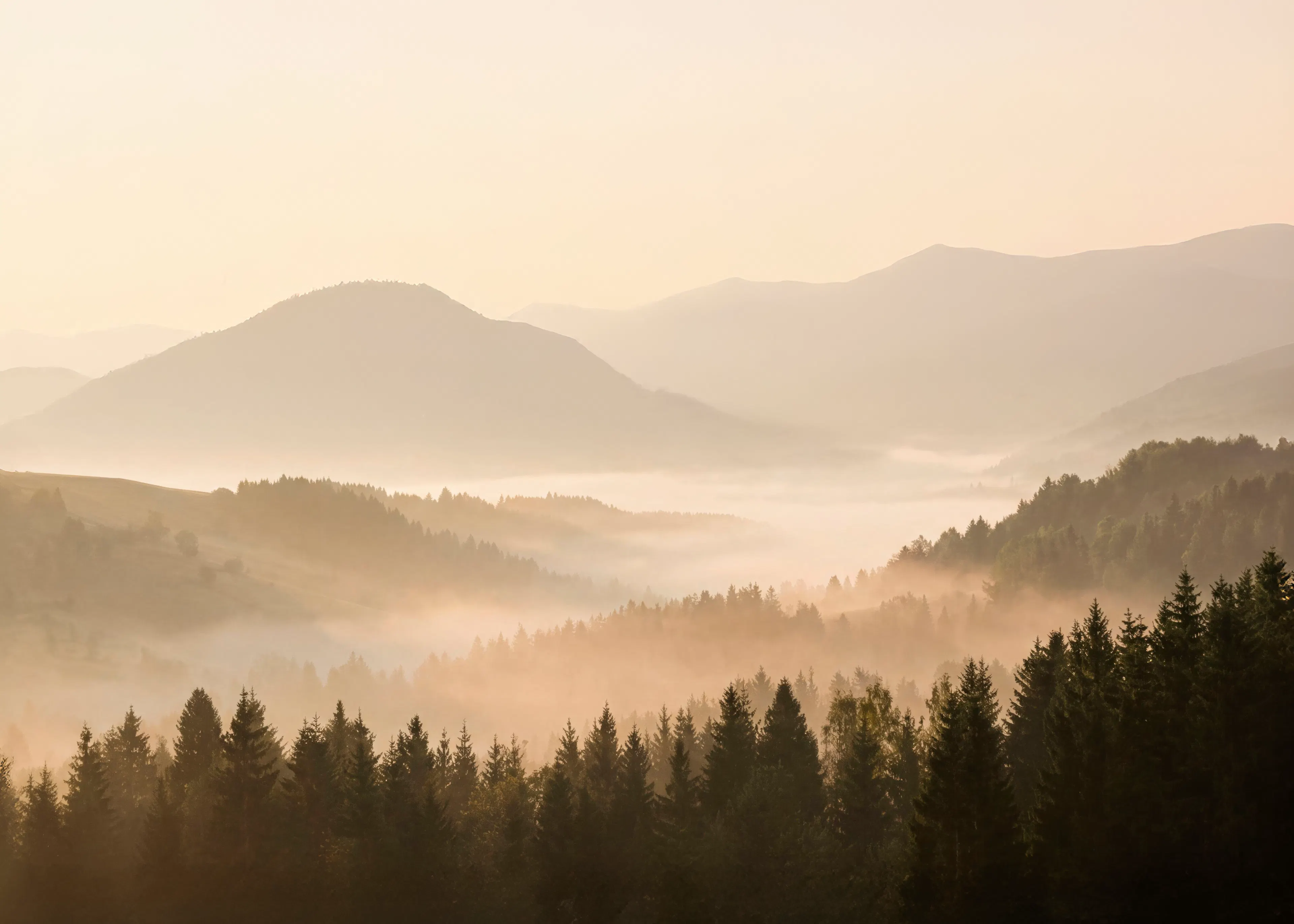 Beige Misty Mountains Poster 0