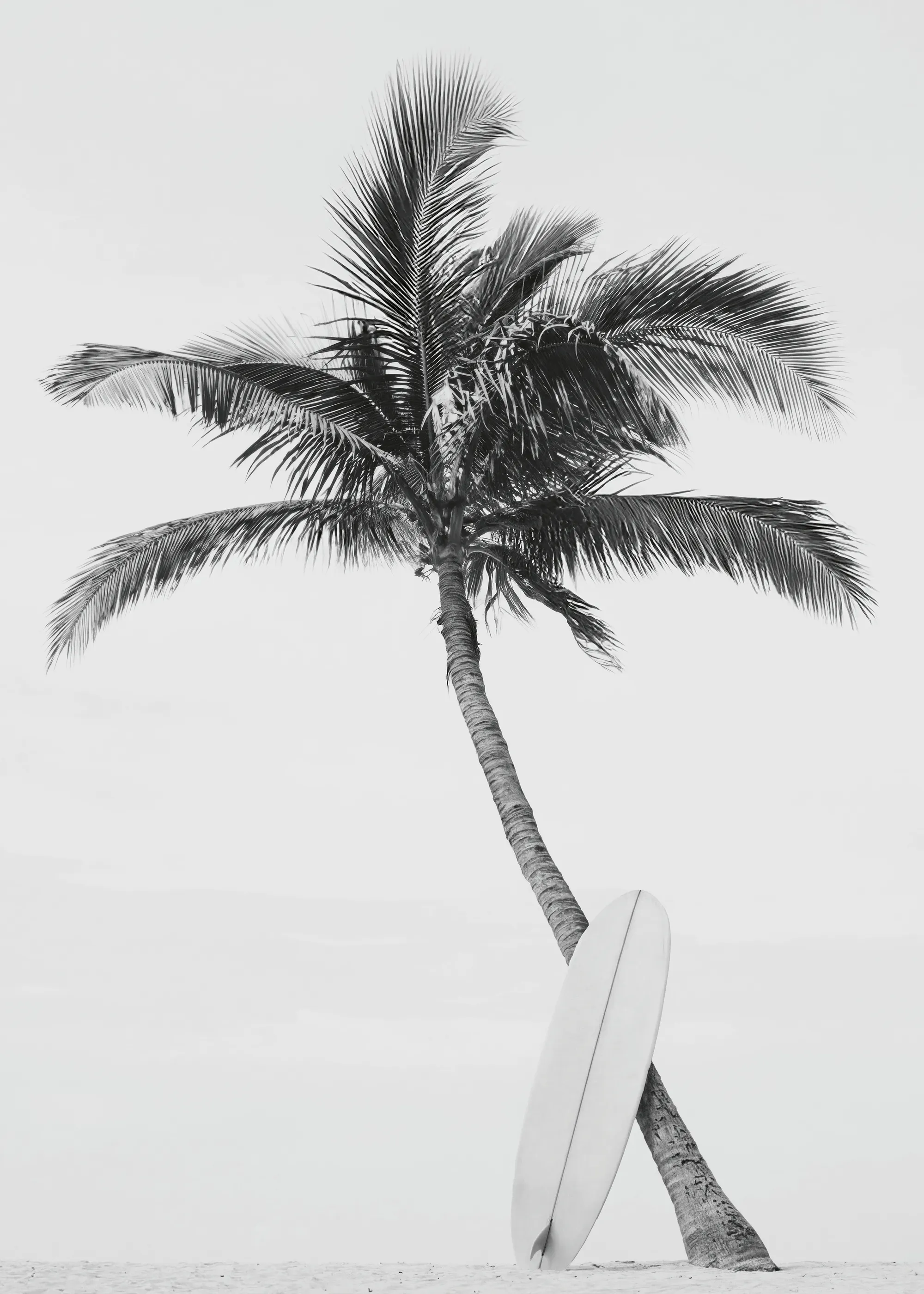 Graue Beach Vibes Poster 0