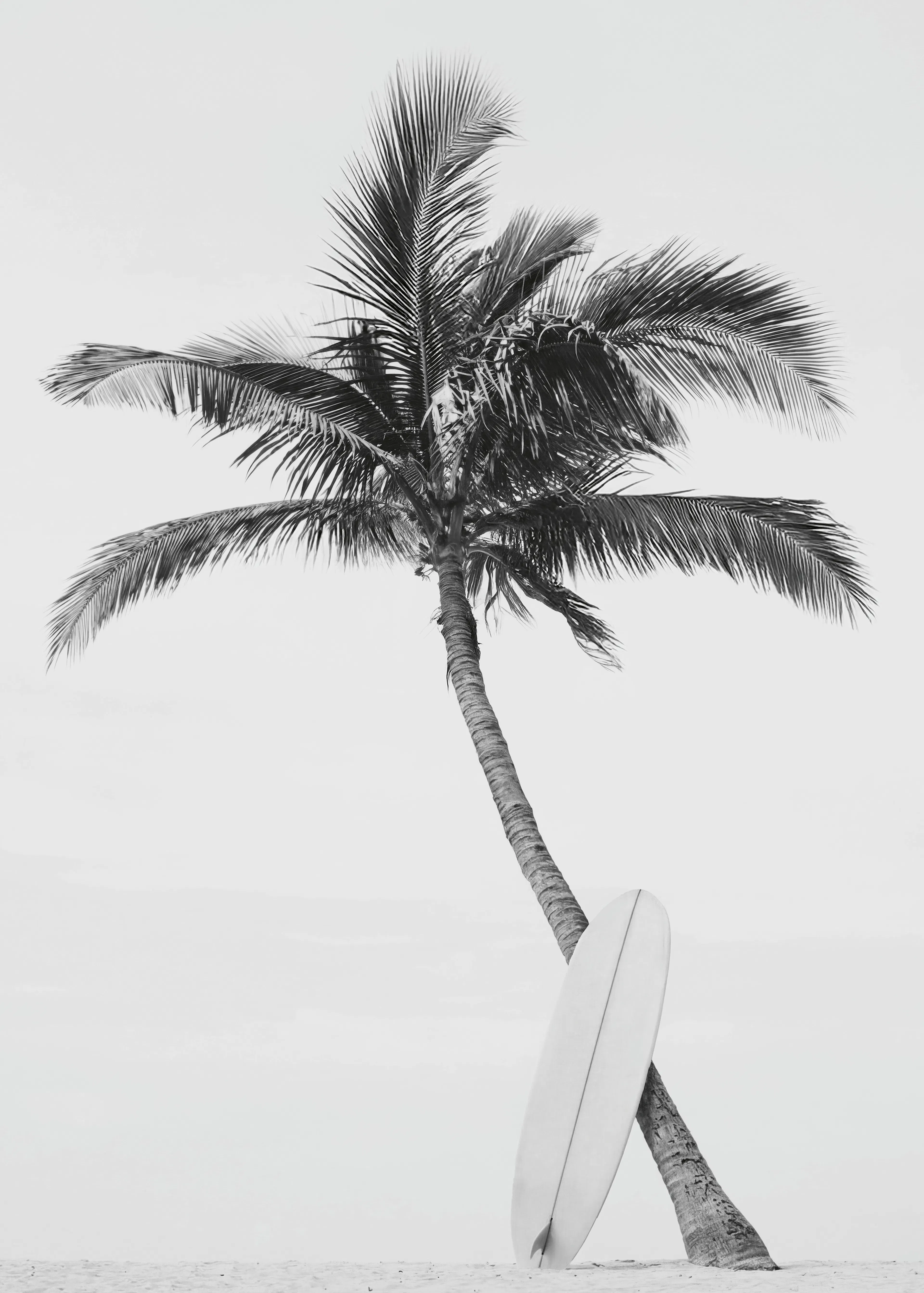 Vibras de Playa en Gris Póster 0