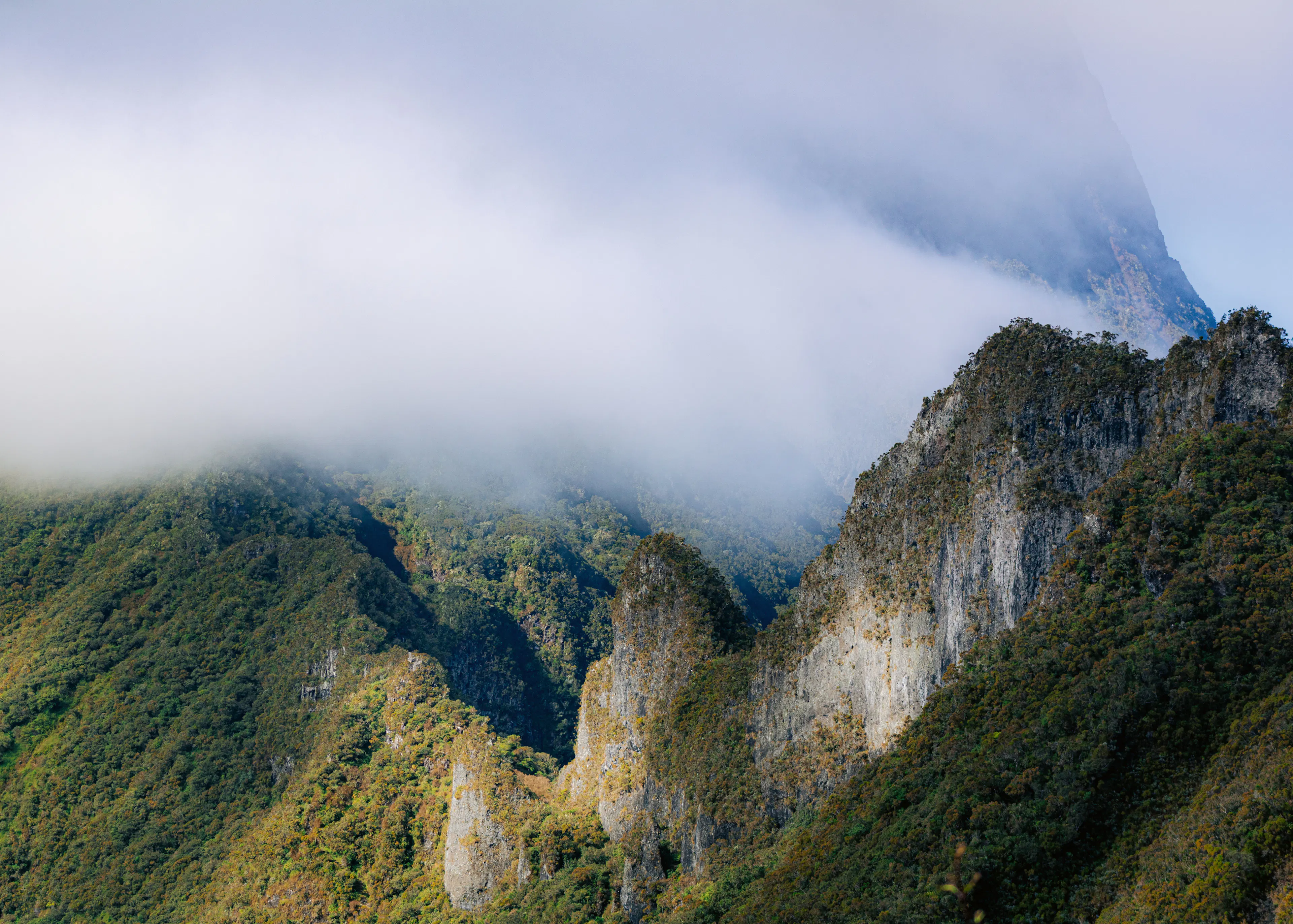 Misty Mountain Peaks Poster 0
