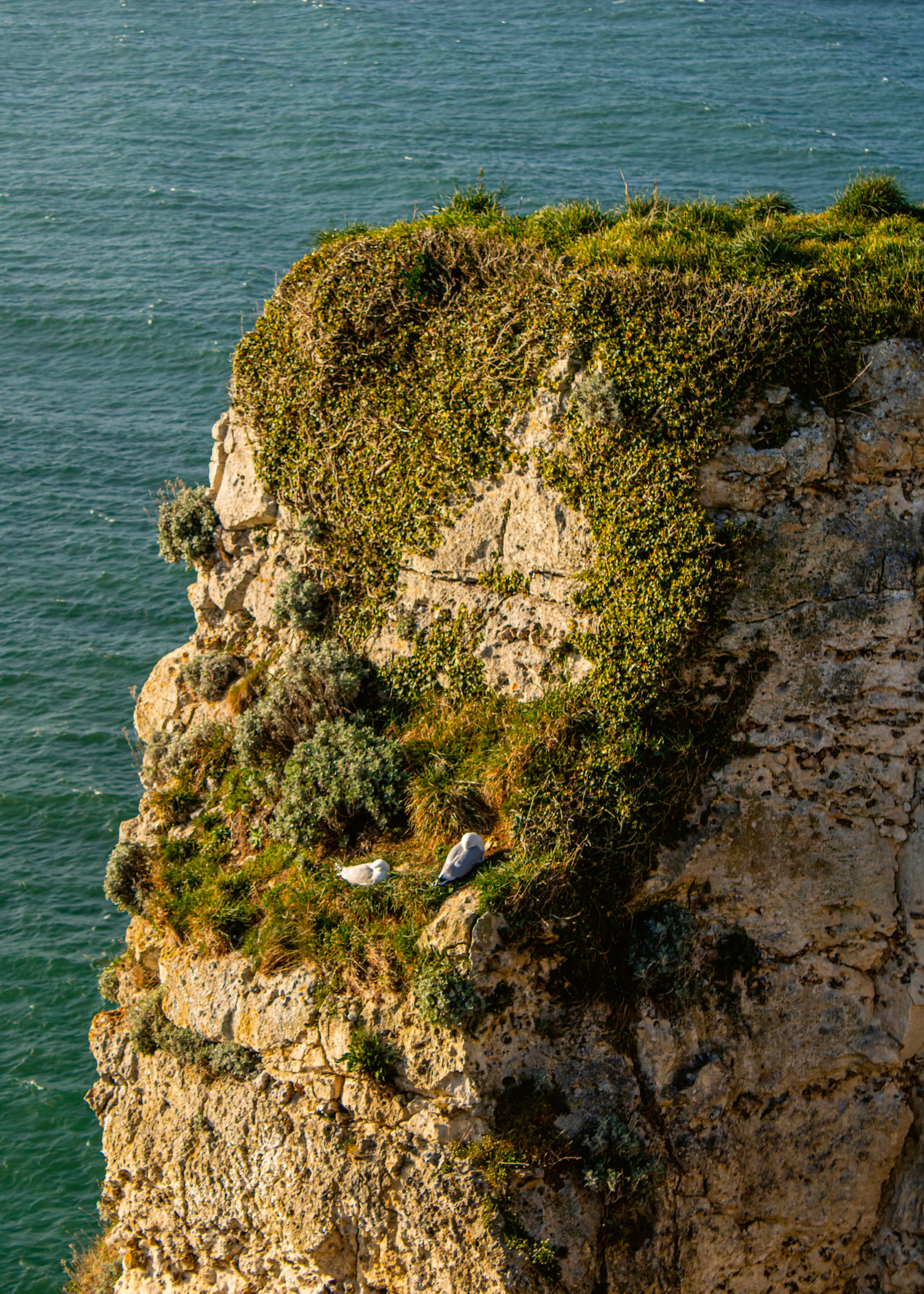Cliff Serenity Poster 0