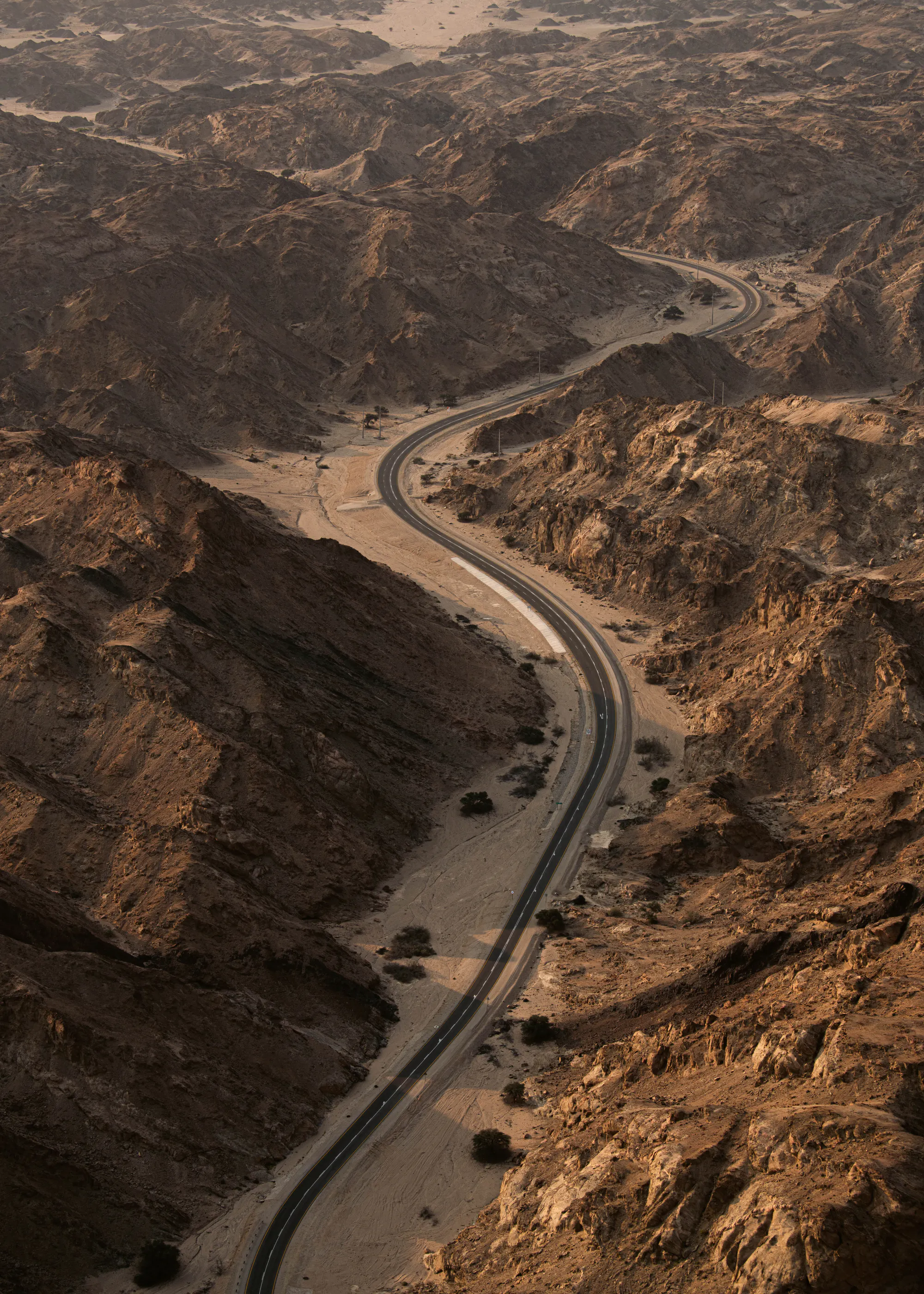 Bronze Desert Highway Poster 0