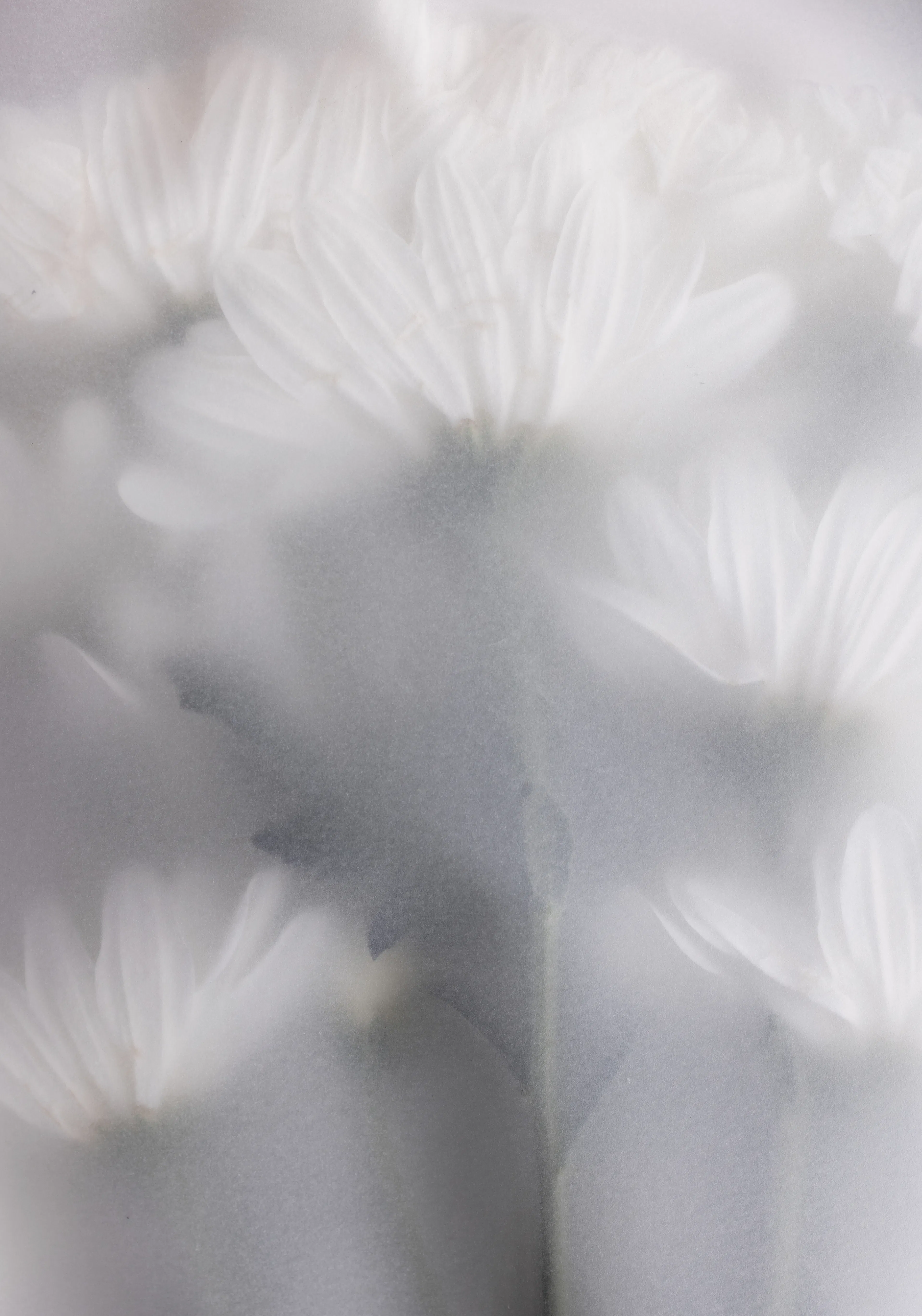 Product image: 1