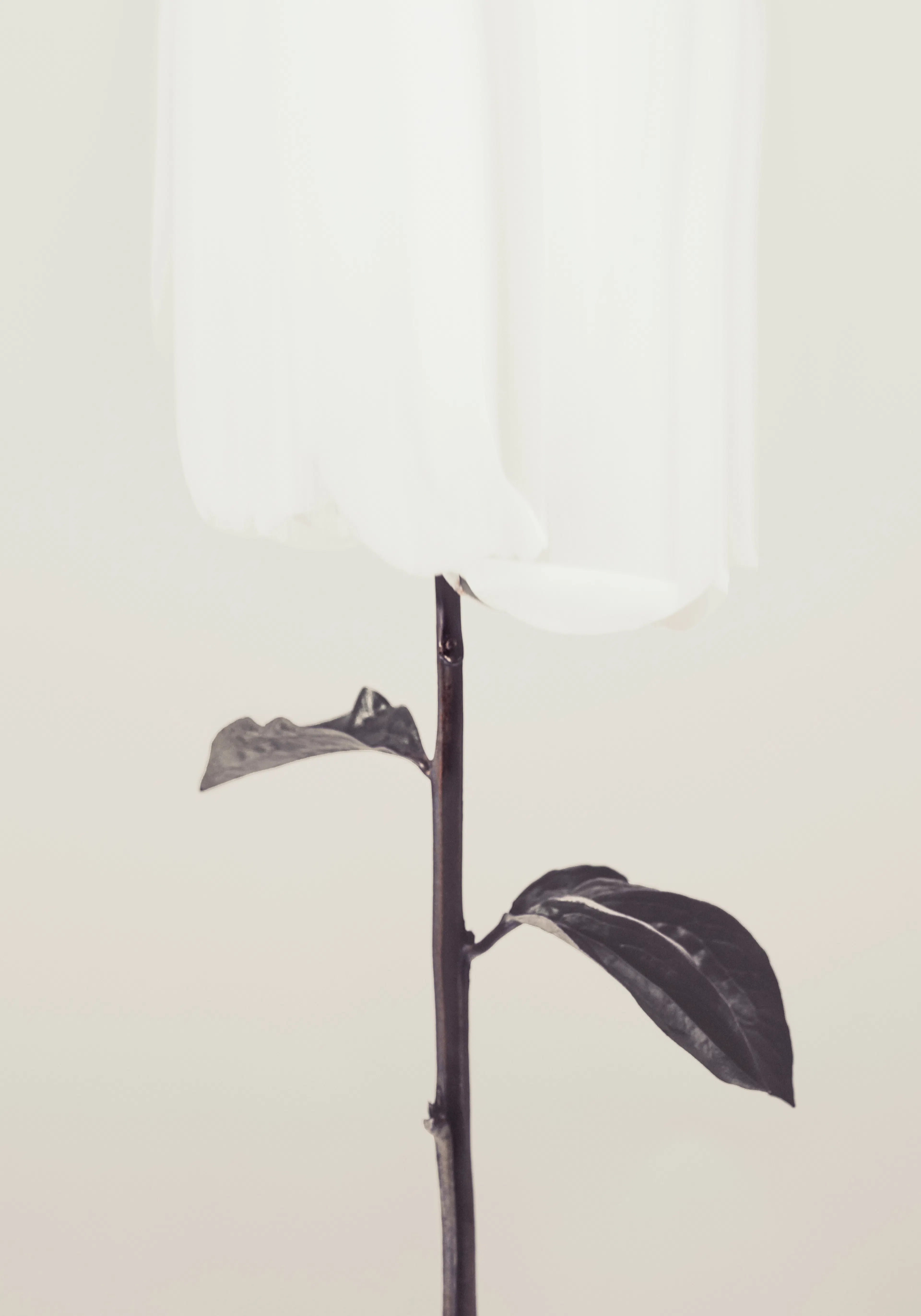 Product image: 1