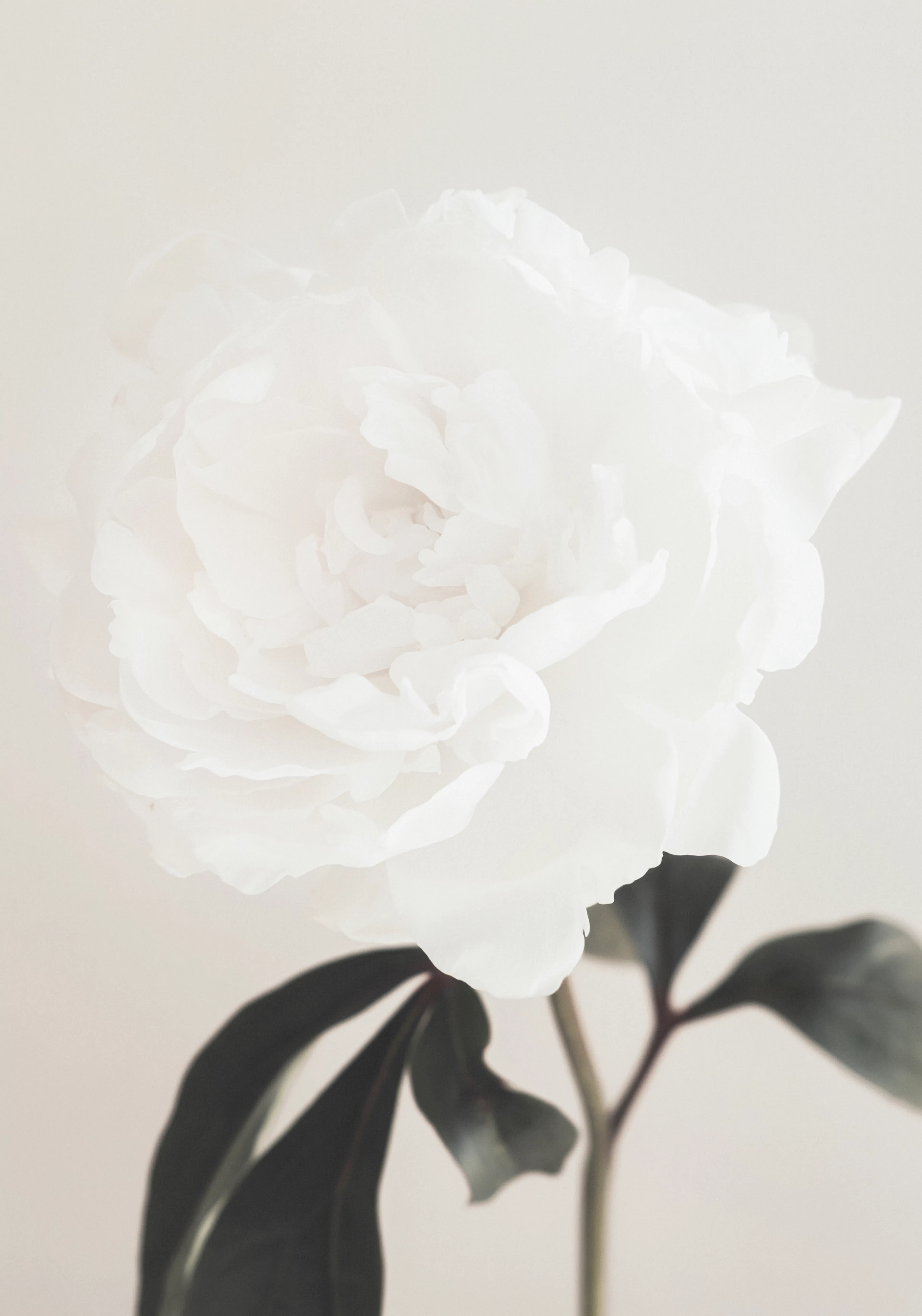 Product image: 1