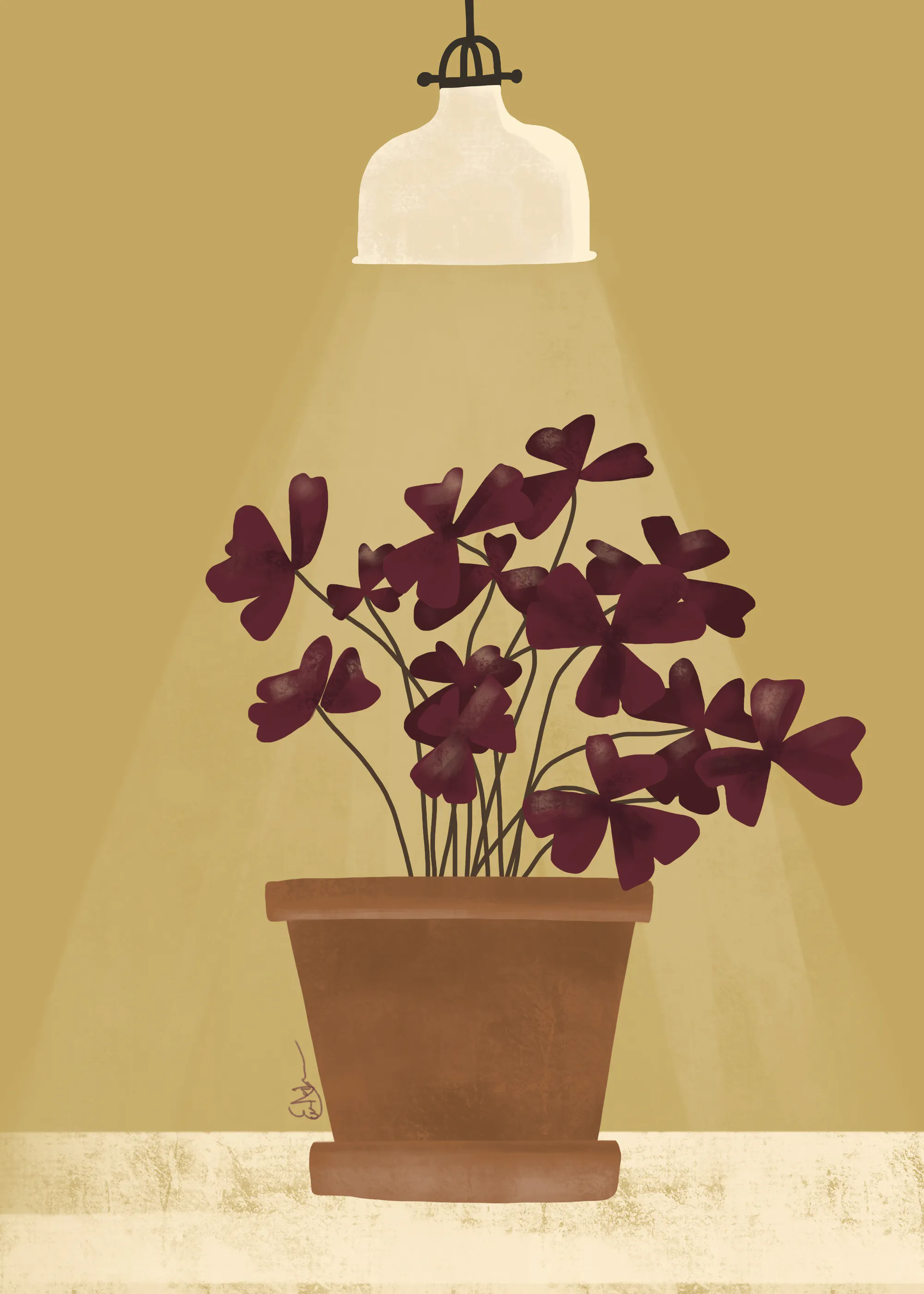 Potted Shadows Poster 0