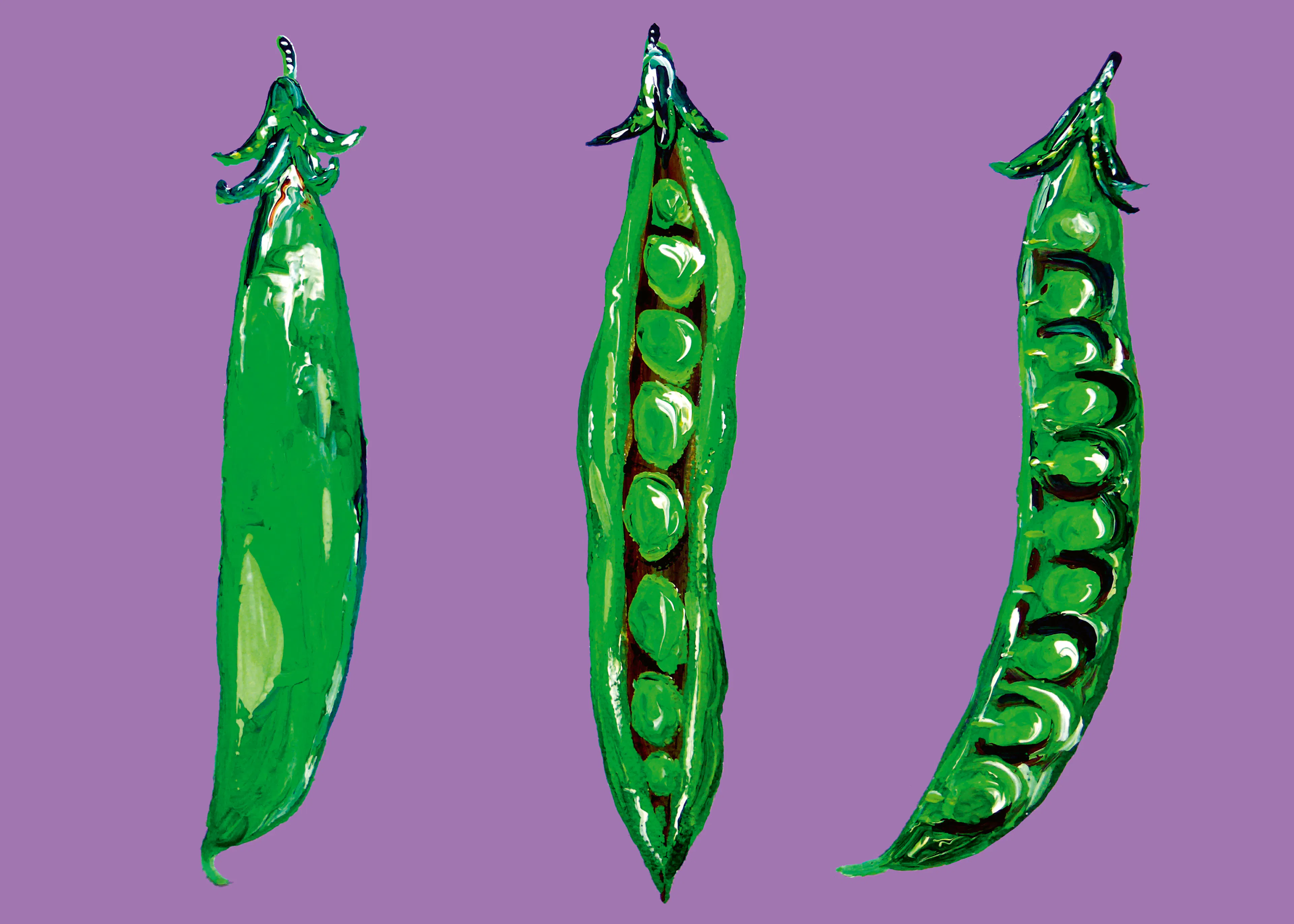 Purple Green Peas Poster 0