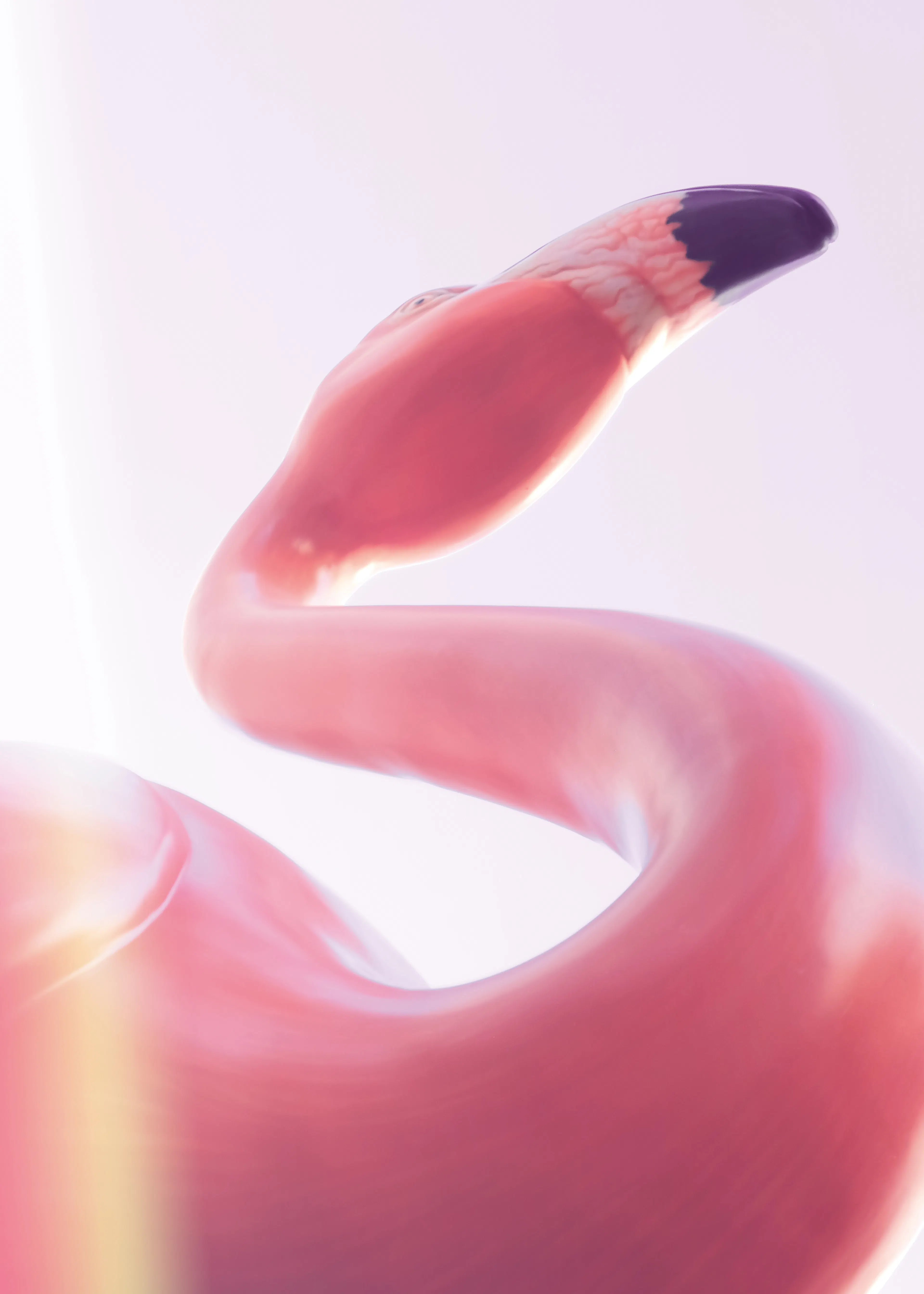 Rose Flamingo Elegance Poster 0
