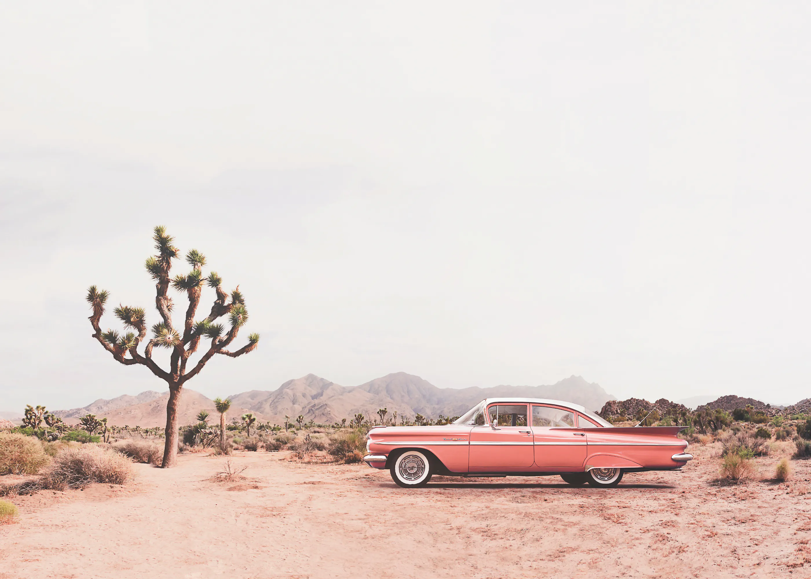 Roze Woestijn Drive Poster 0