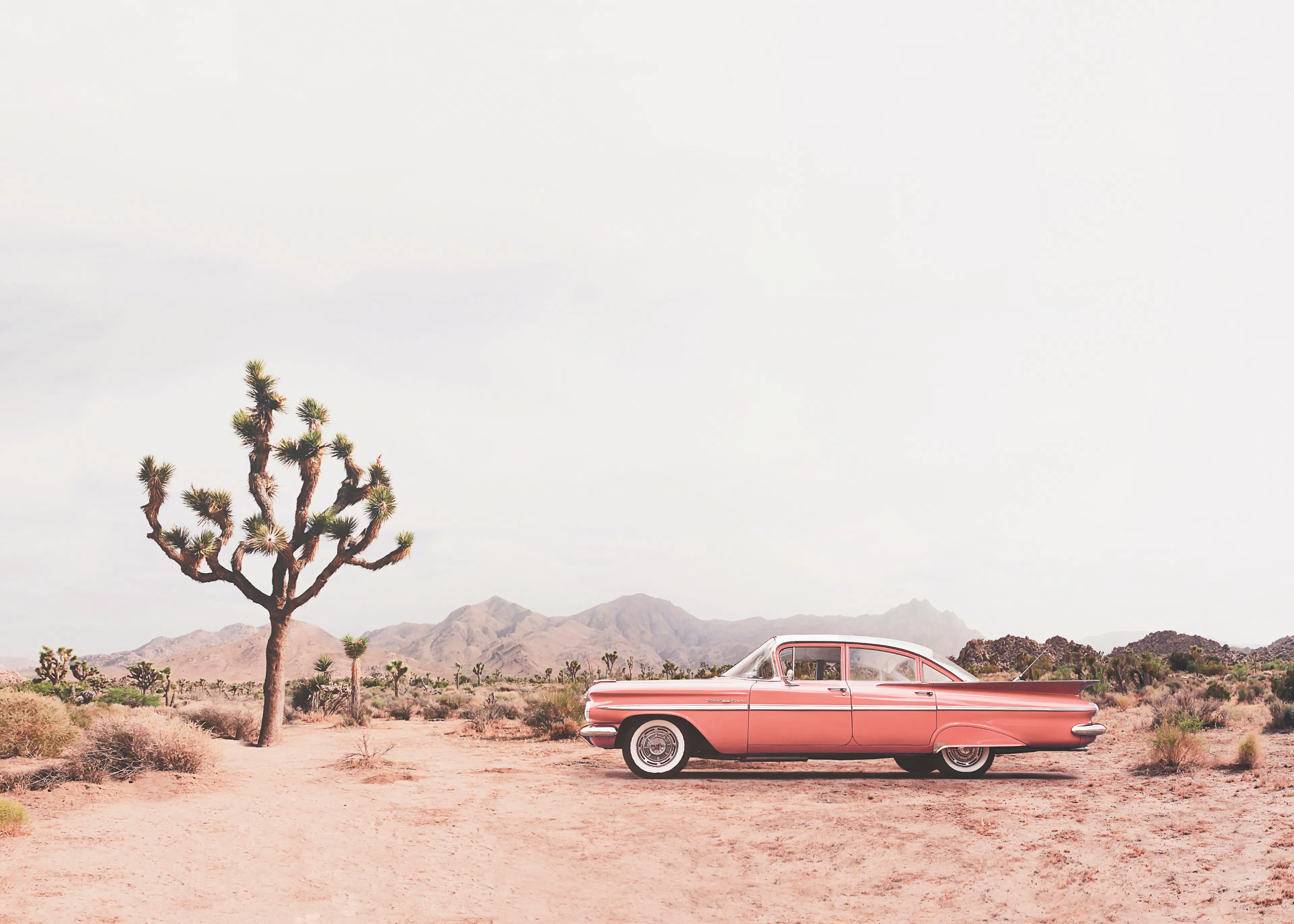 Pink Desert Drive Poster 0