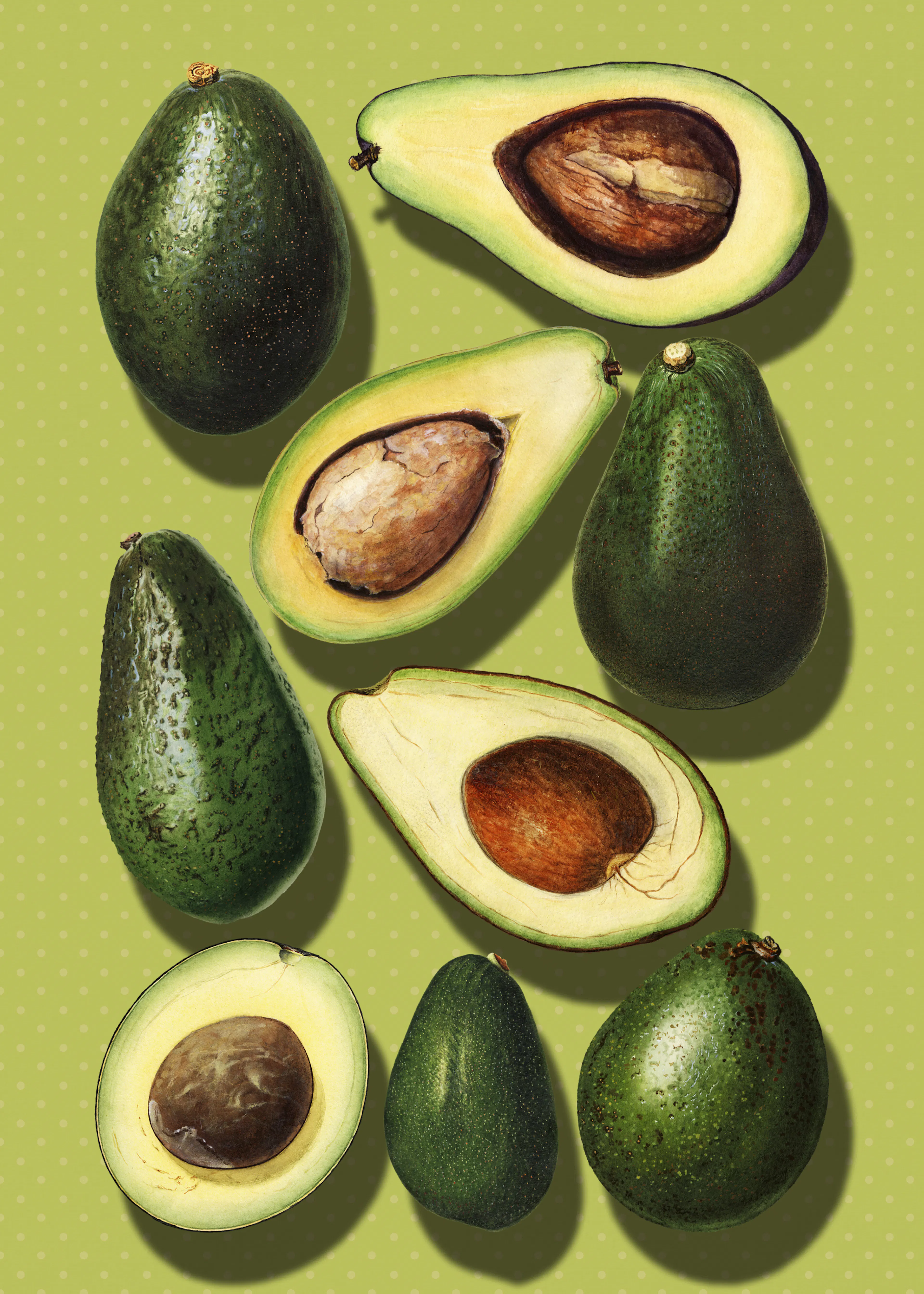 Deleite de Aguacate Verde Póster 0