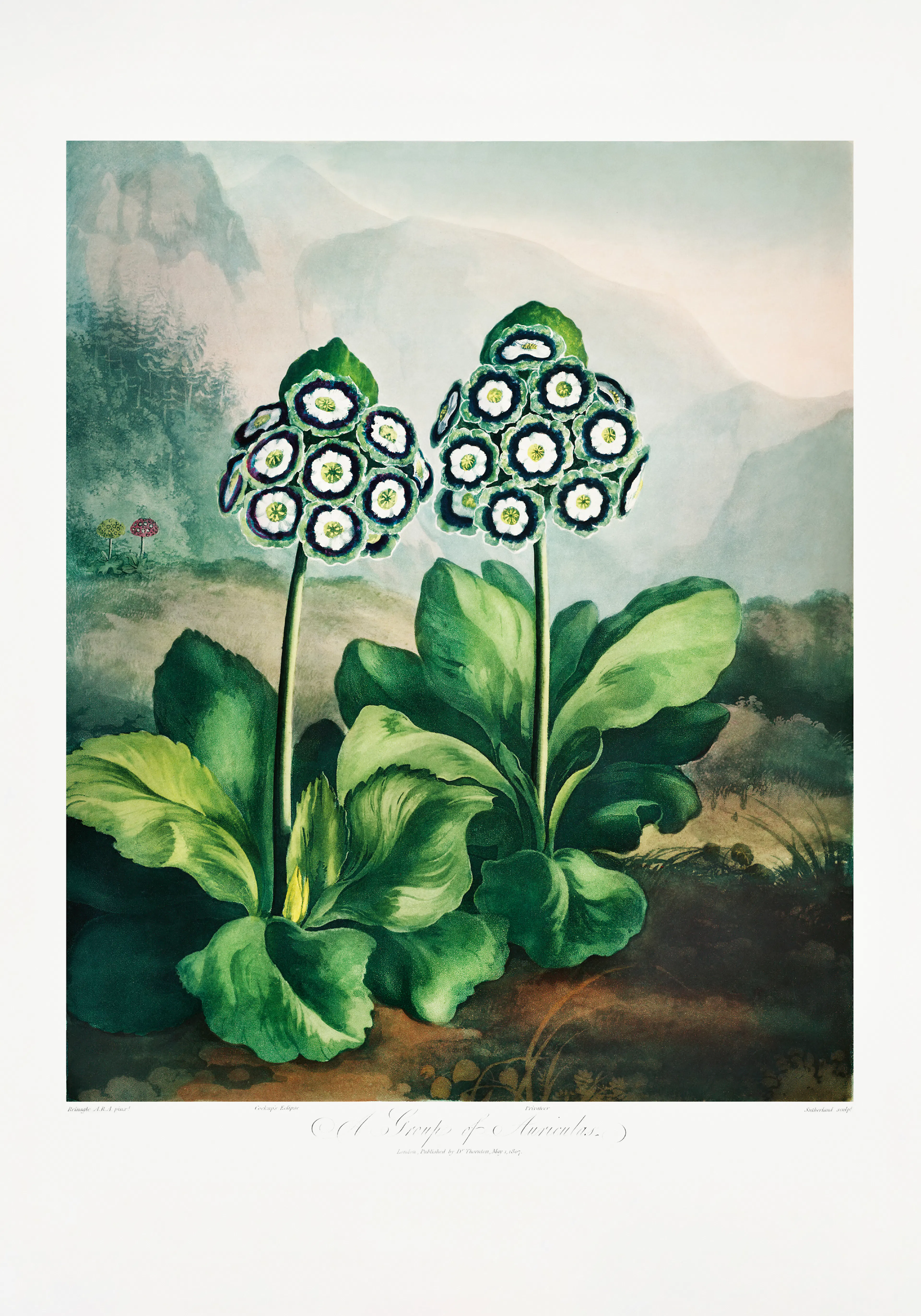 Product image: 1