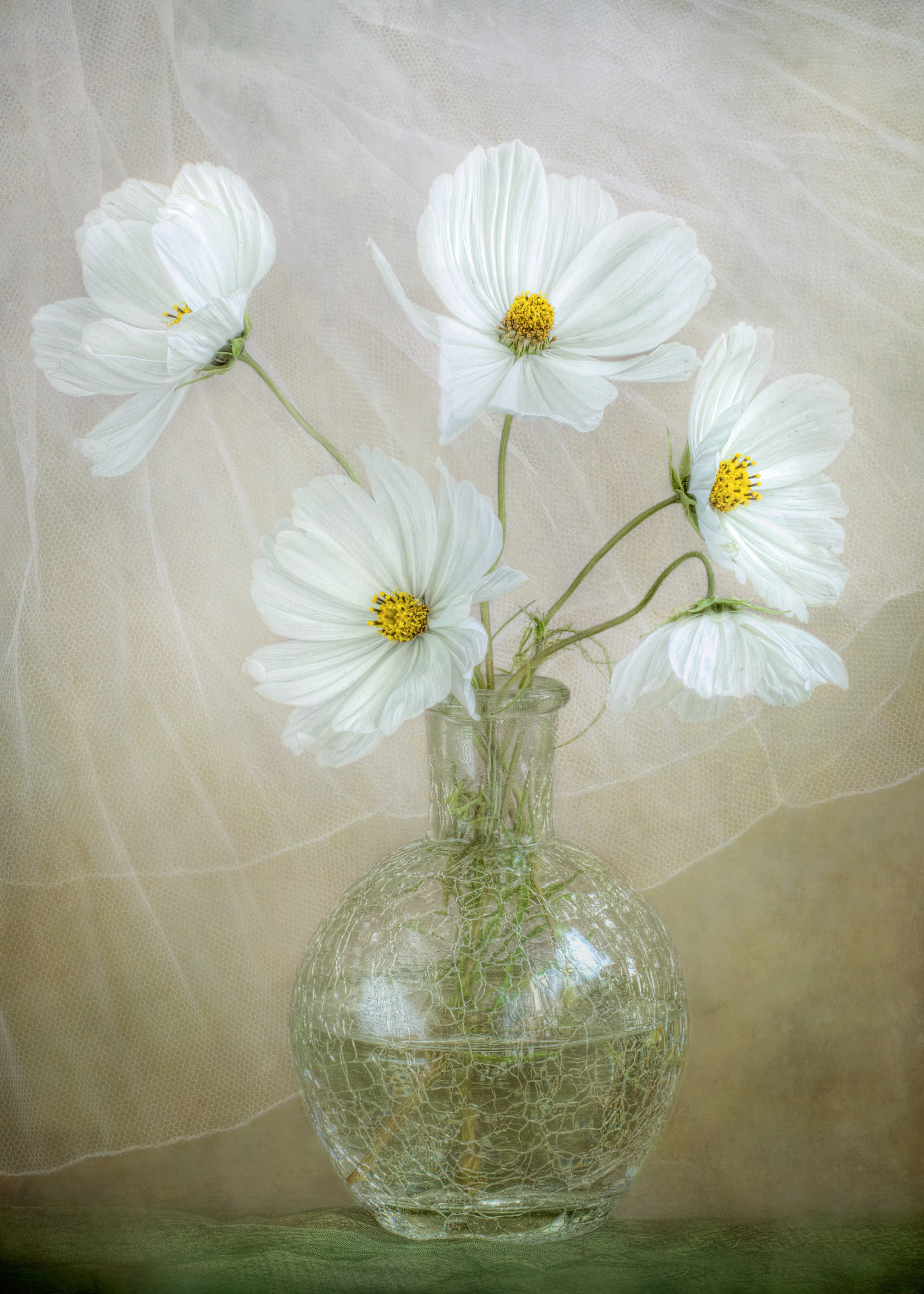 Delicate White Blooms Poster 0