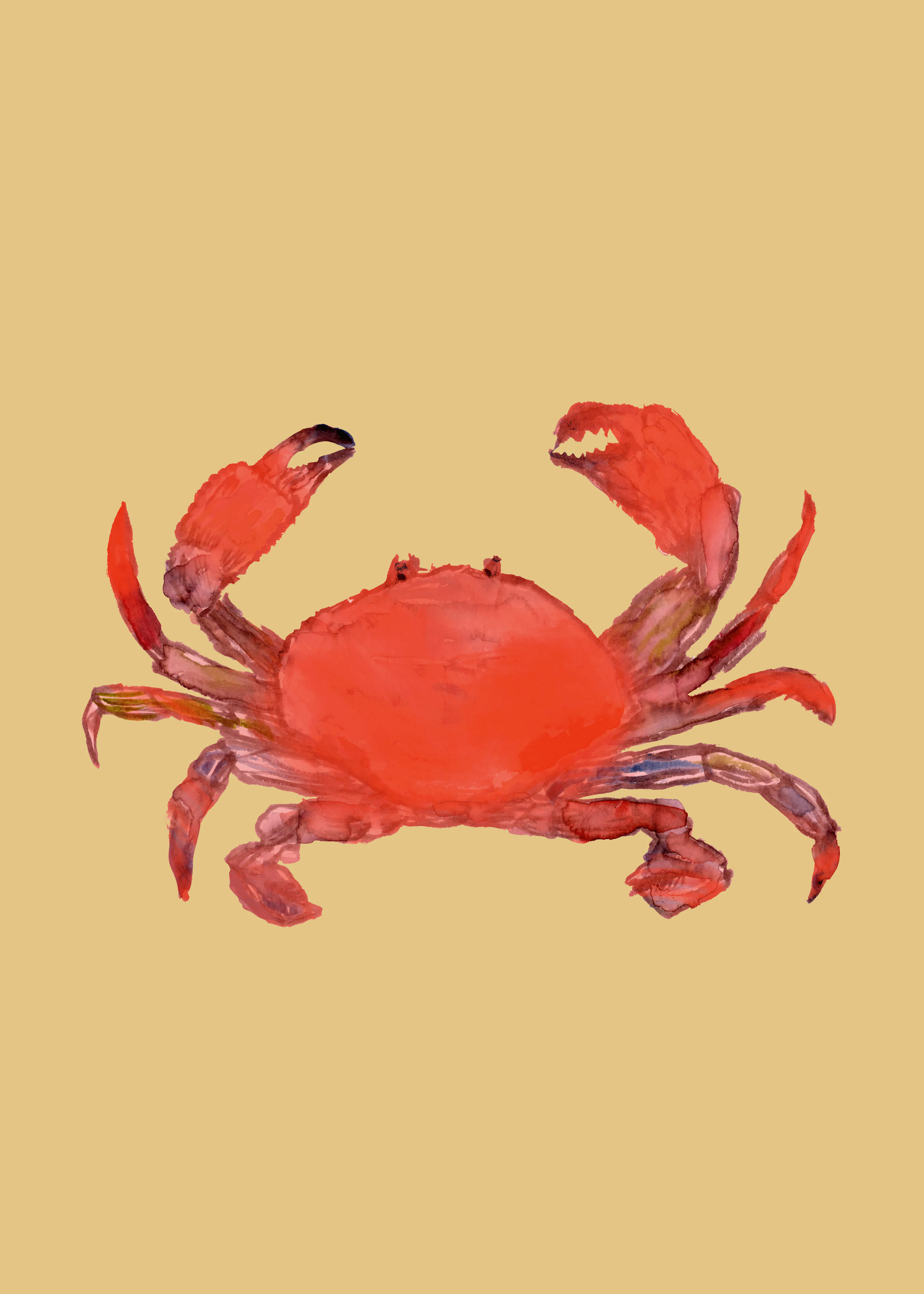 Red Crab Poster 0