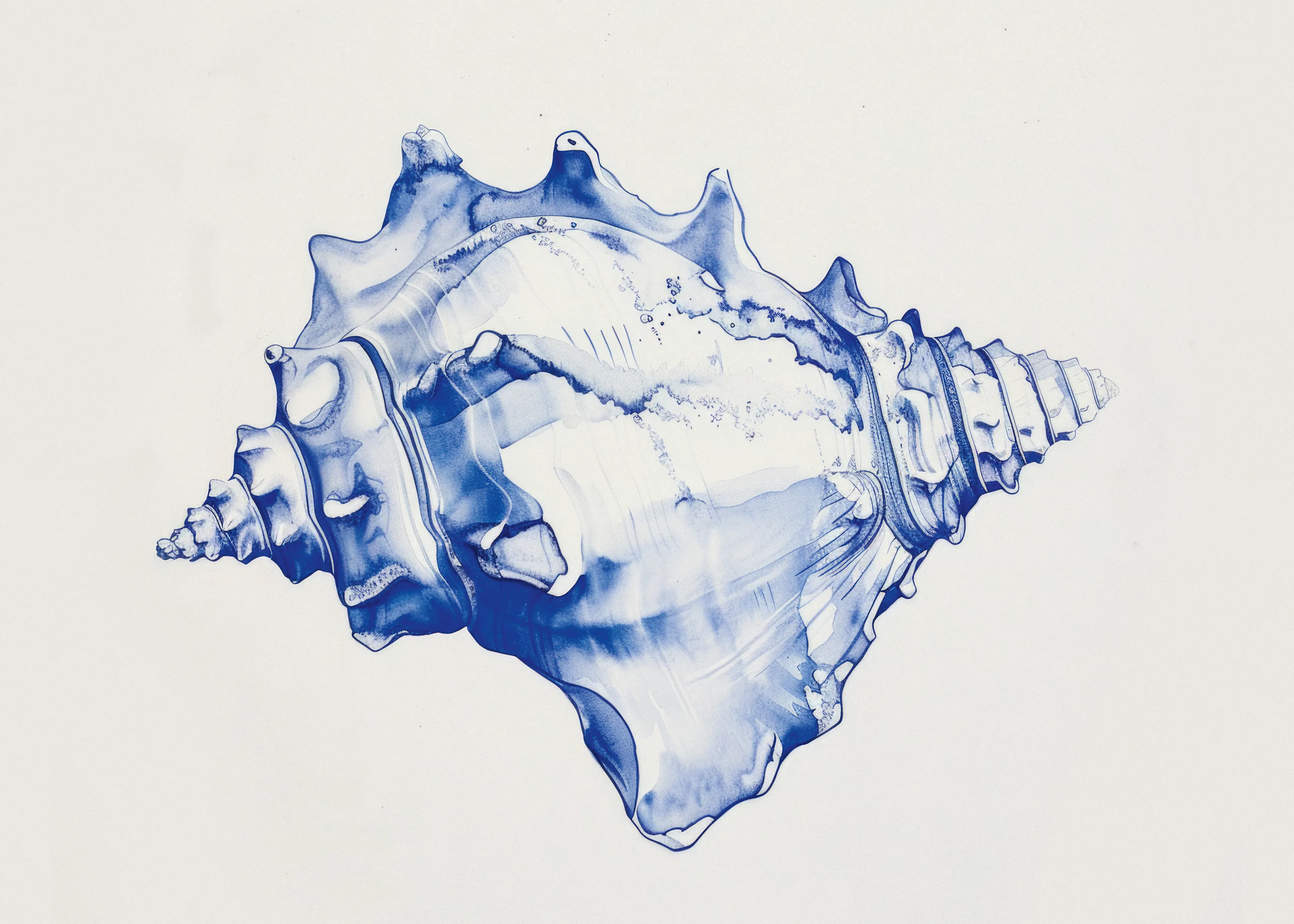 Ocean Shell Poster 0