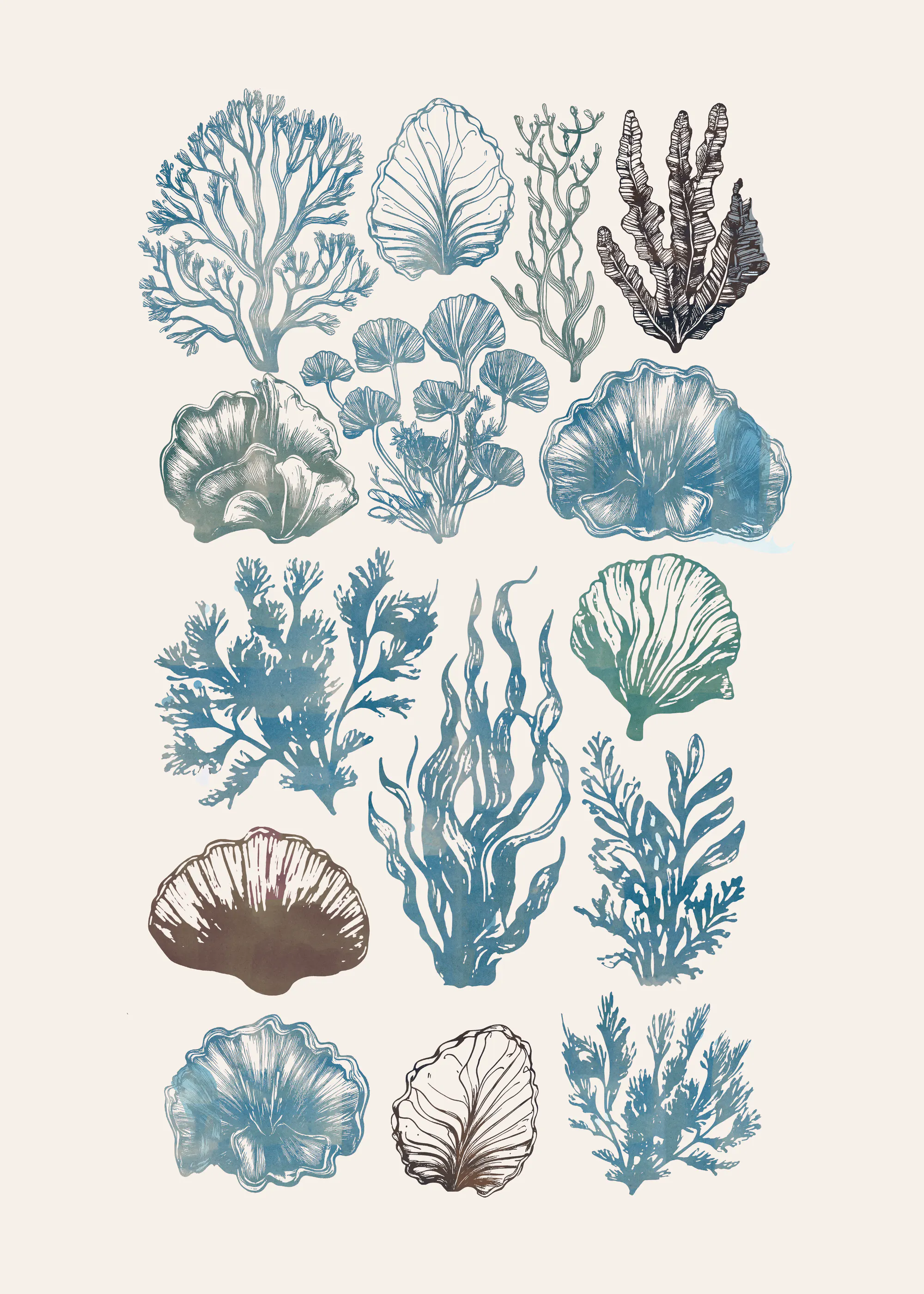 Marine Botanicals Poster 0