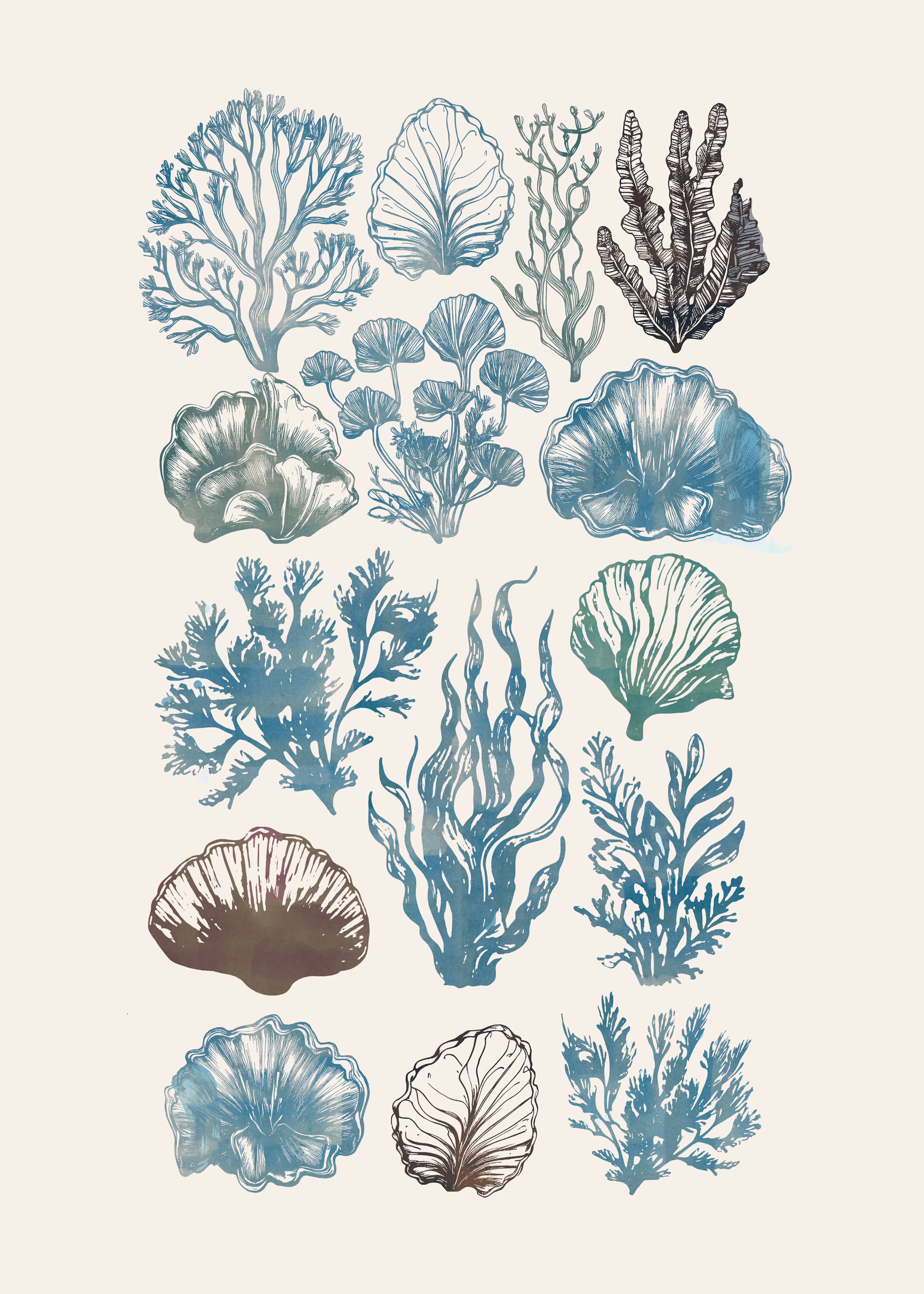 Marine Botanicals Poster 0
