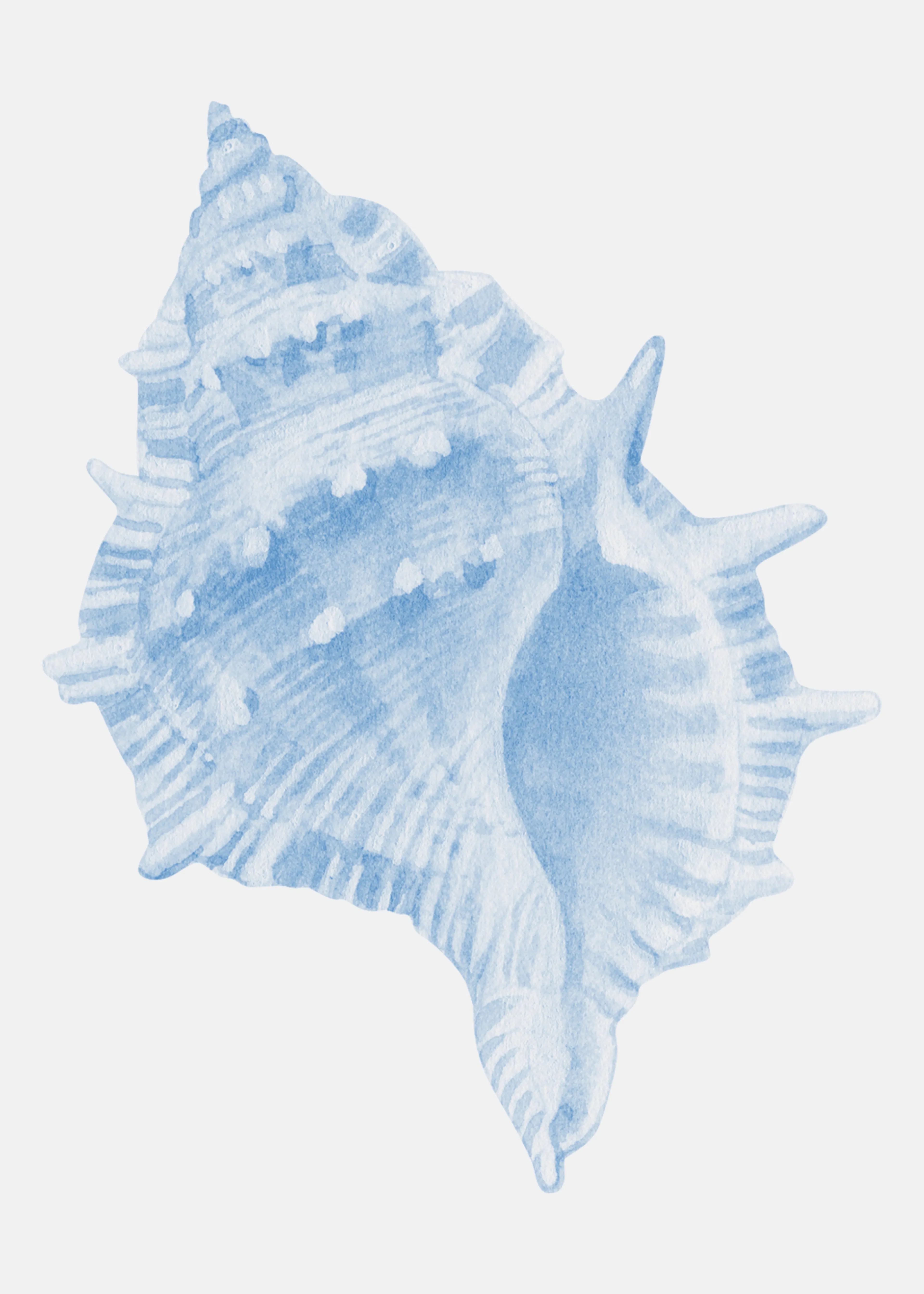 Blue Ocean Shell Poster 0