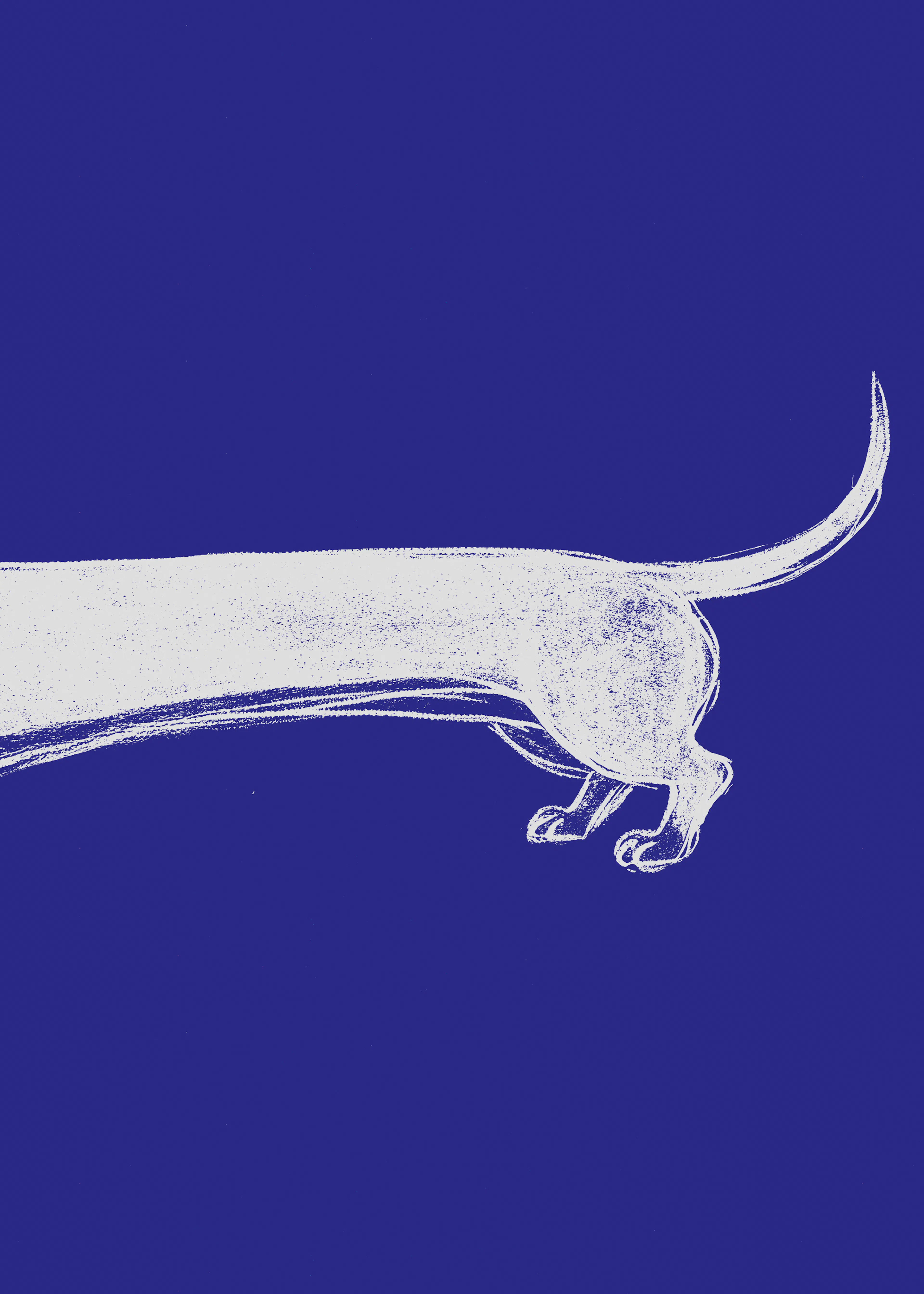Elongated Dachshund Poster 0