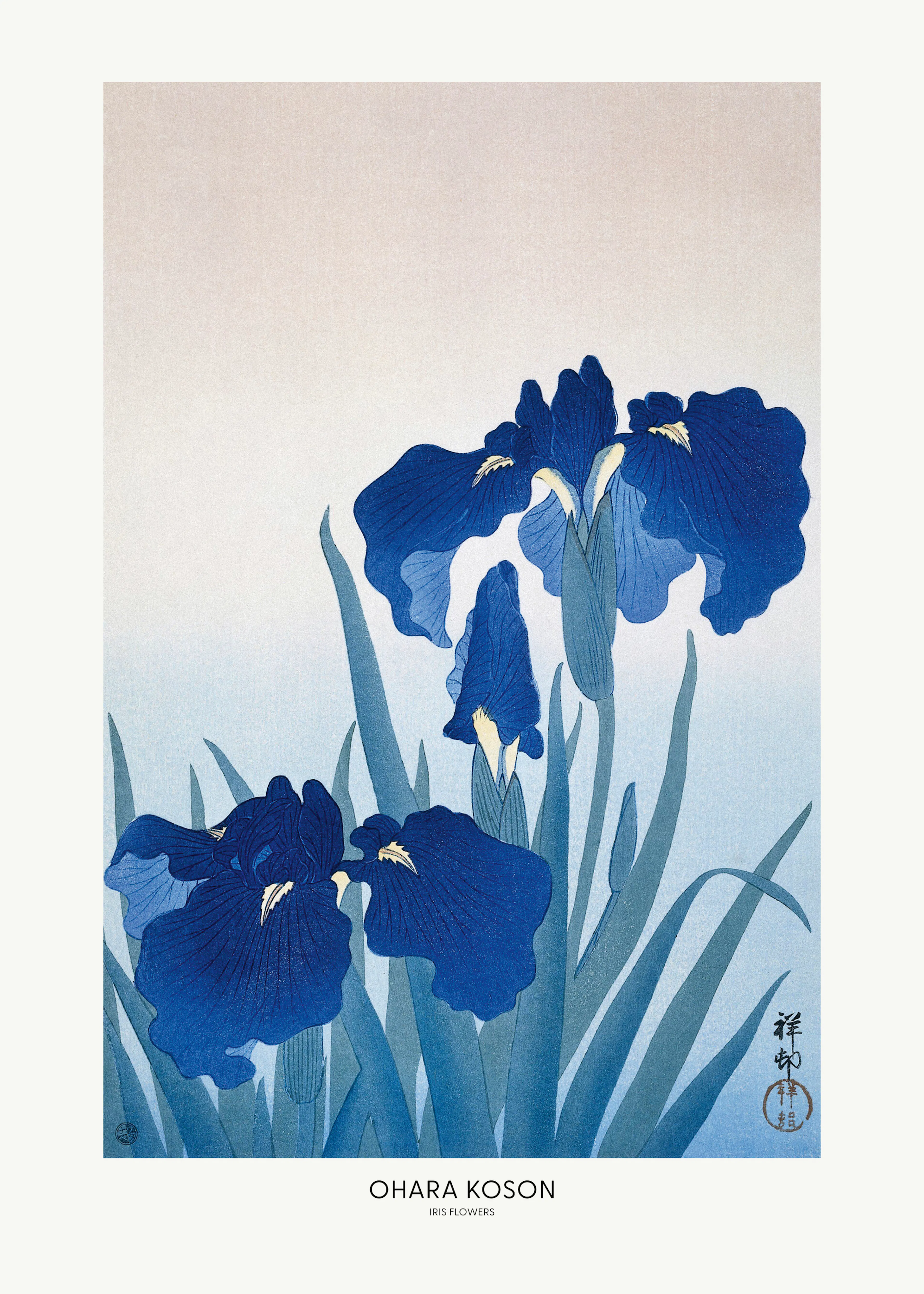 Blue Iris Poster 0
