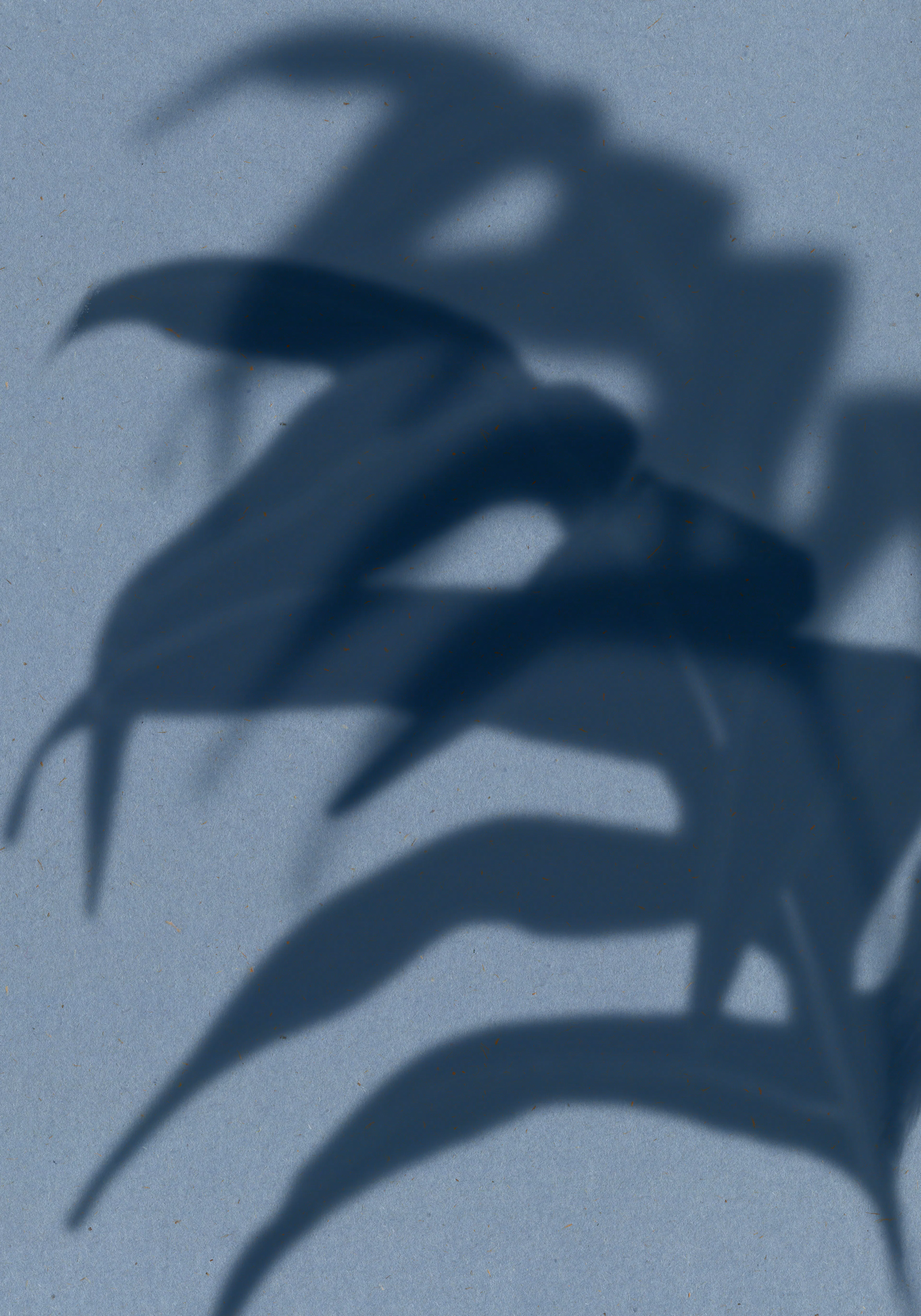 Product image: 1