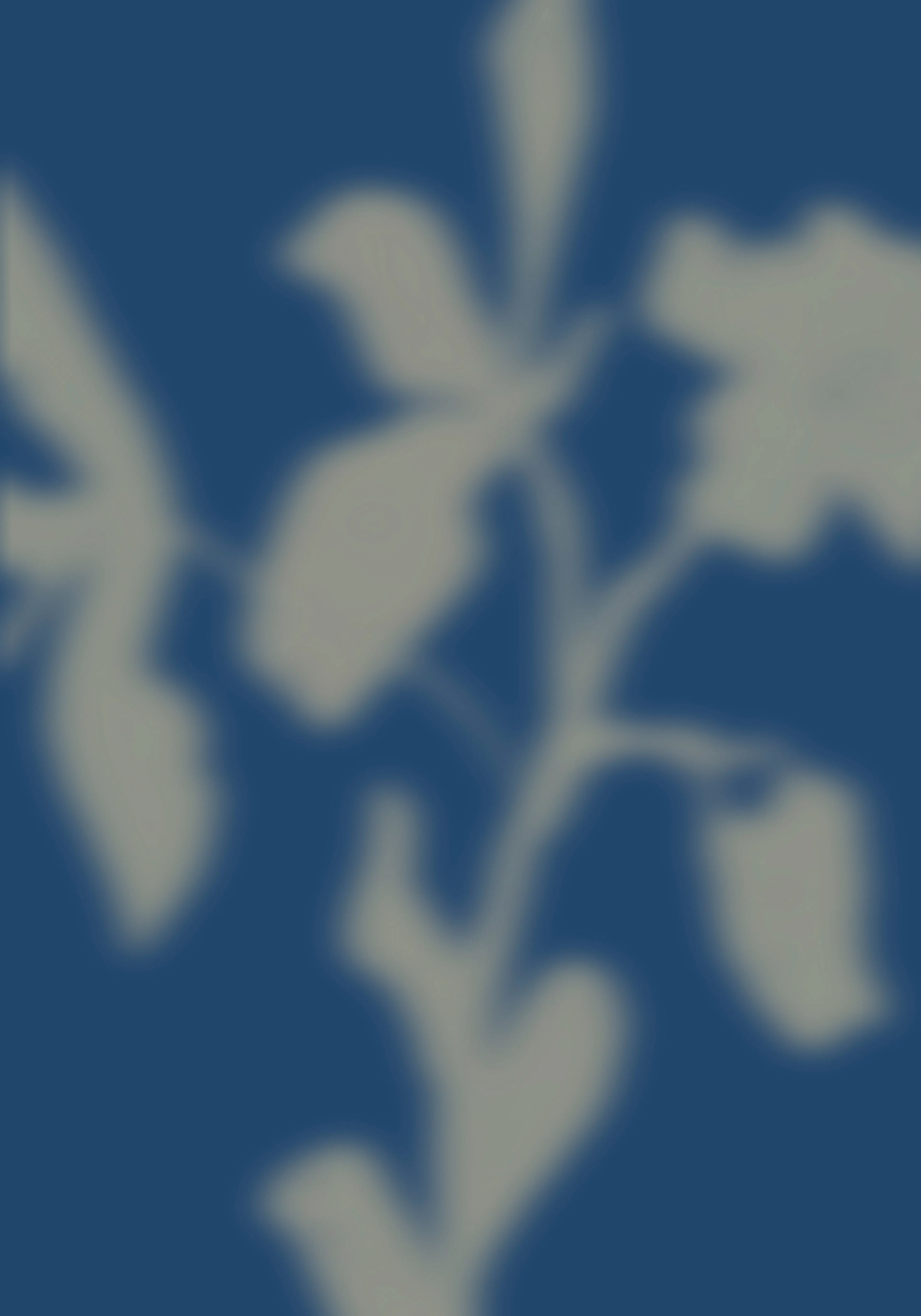 Product image: 1