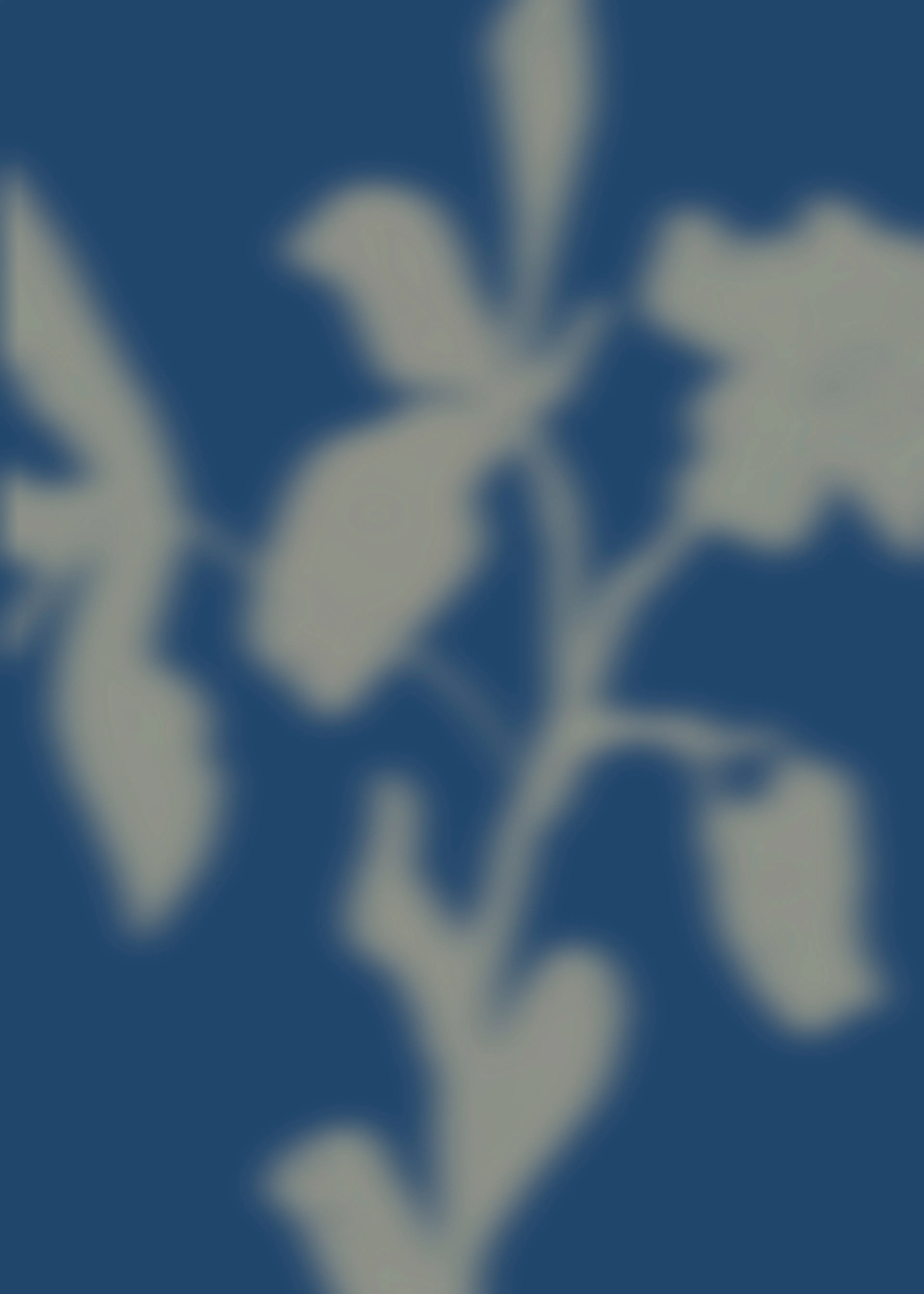 Blurred Nature Poster 0