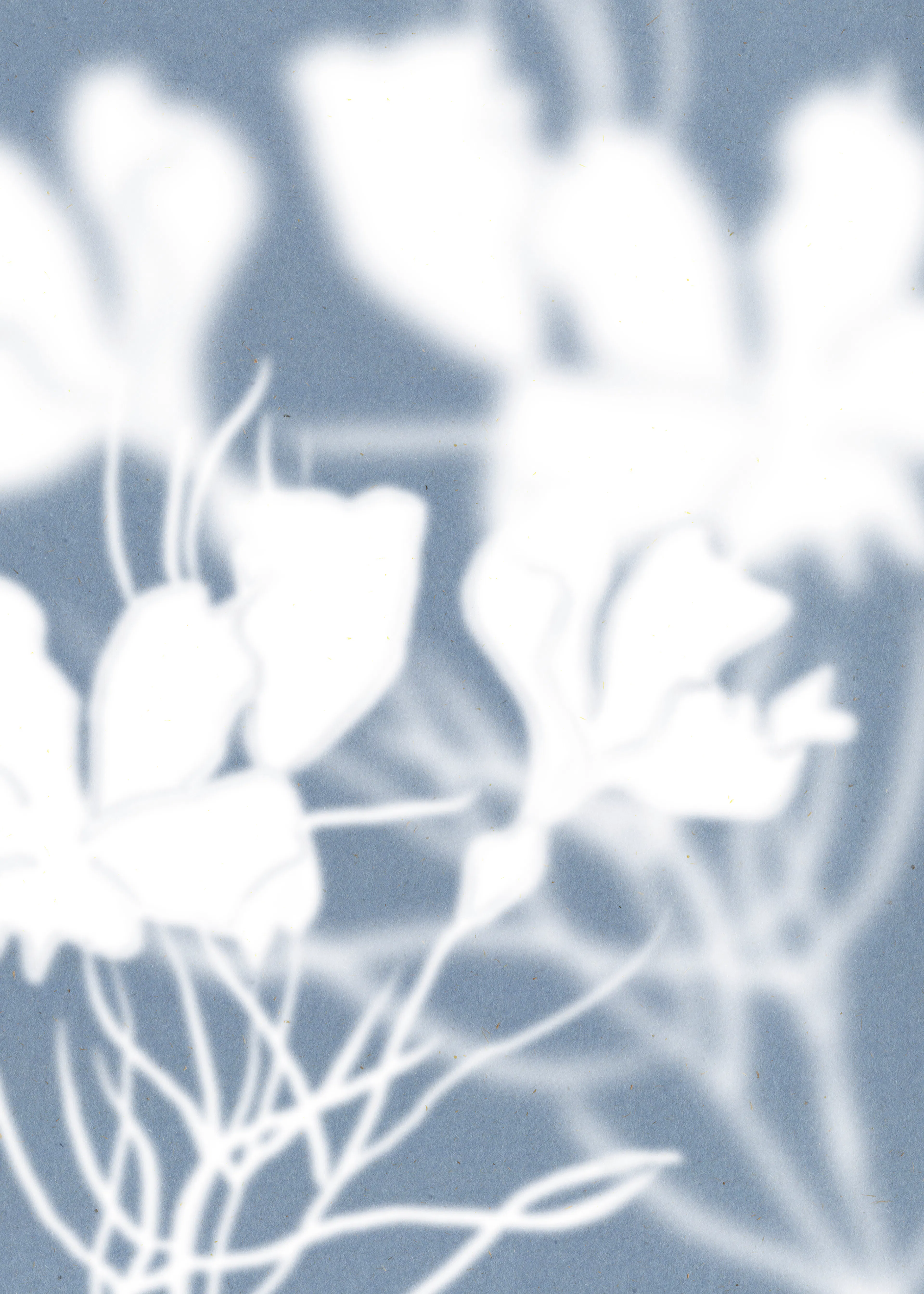Blue Whispering Petals Poster 0