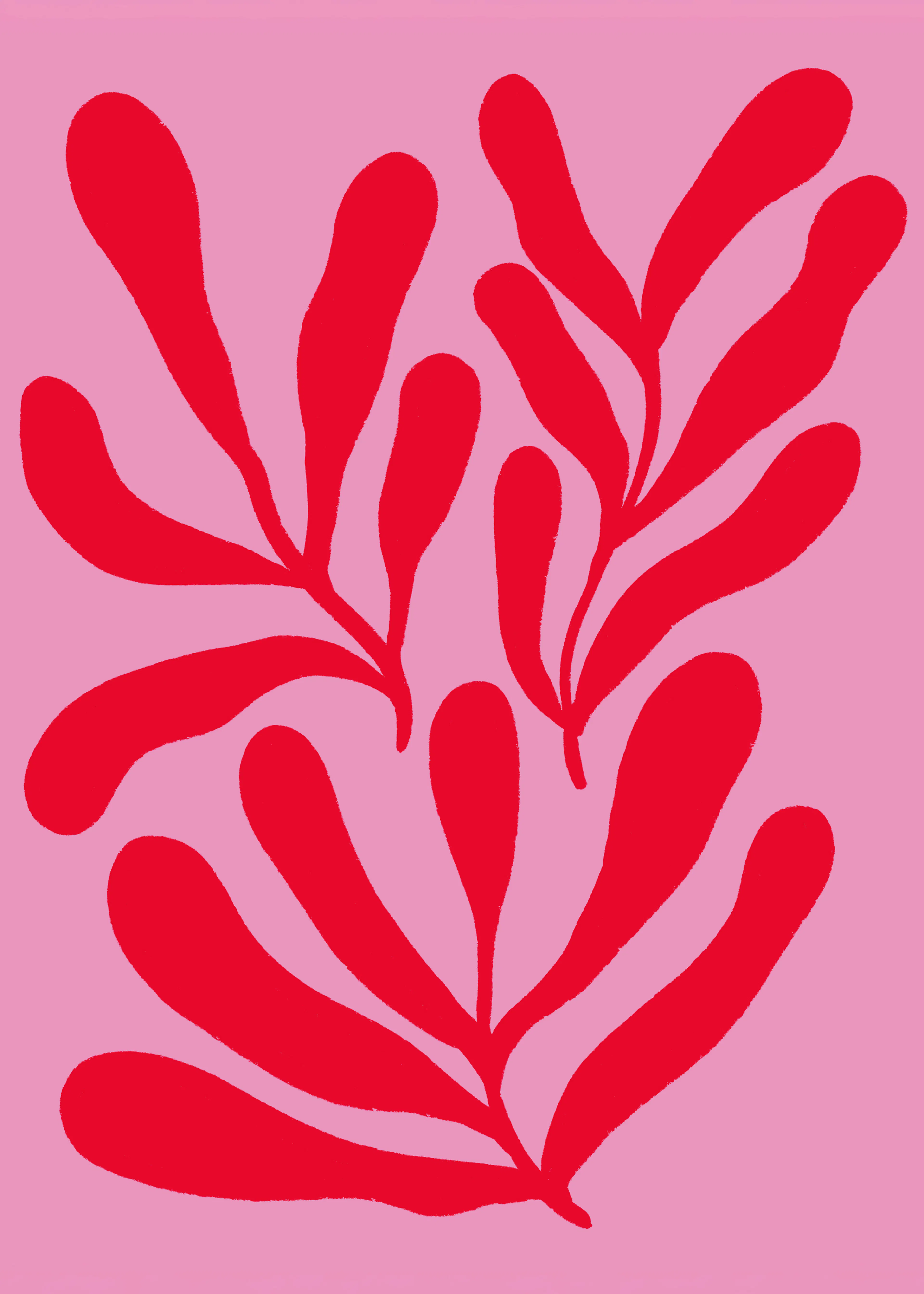 Red Coral Poster 0