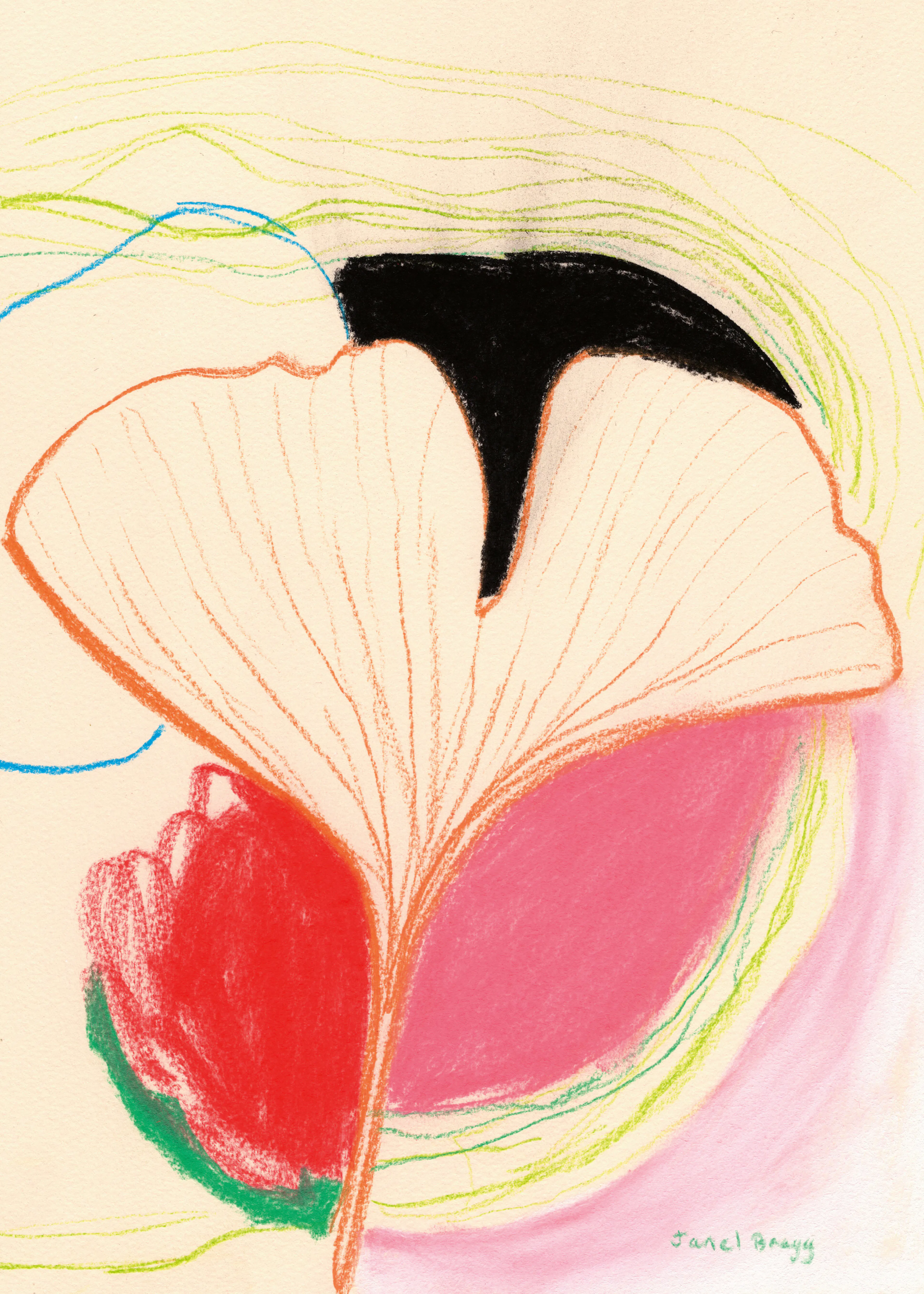Vibrant Petals Poster 0