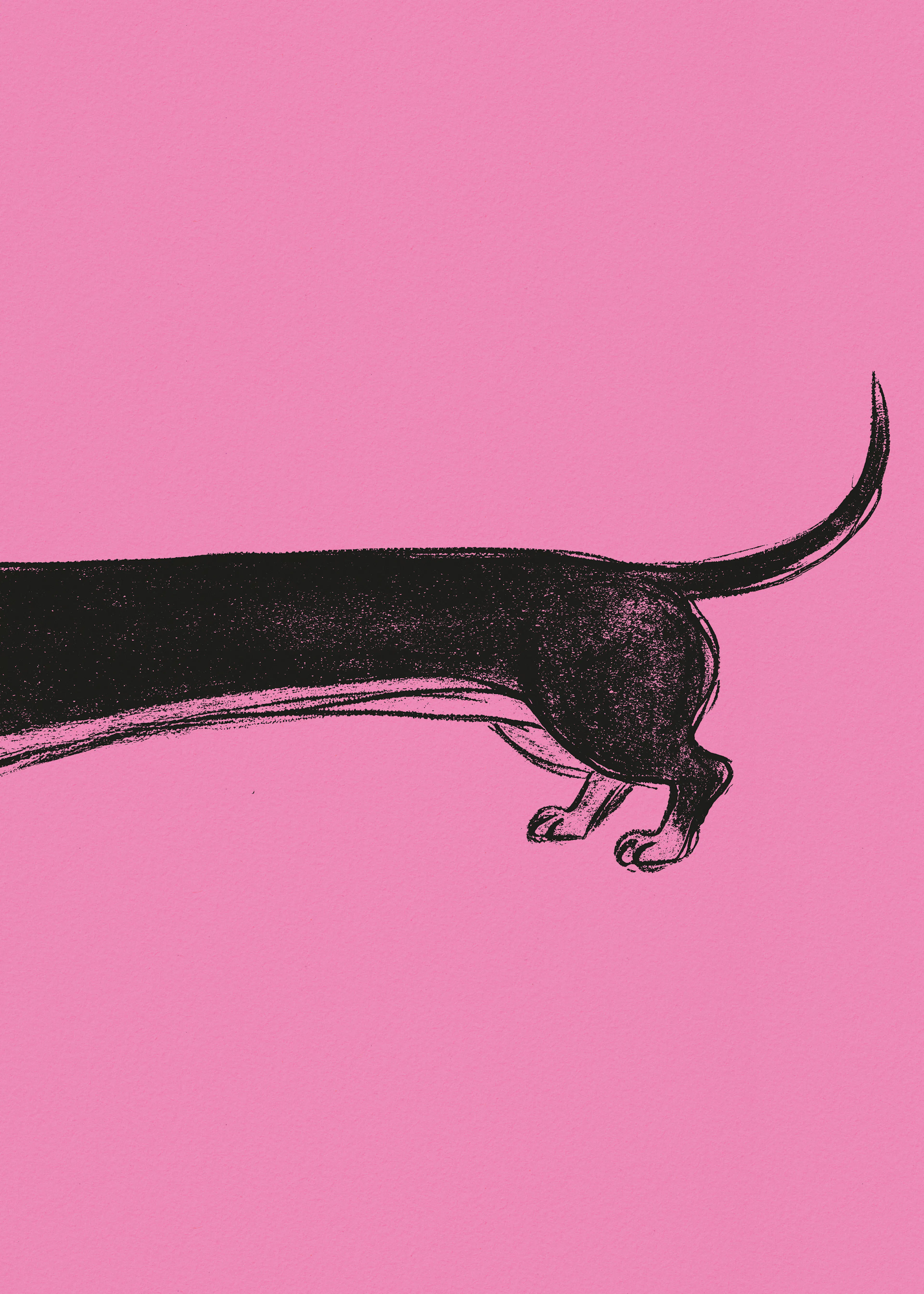 Playful Dachshund Poster 0
