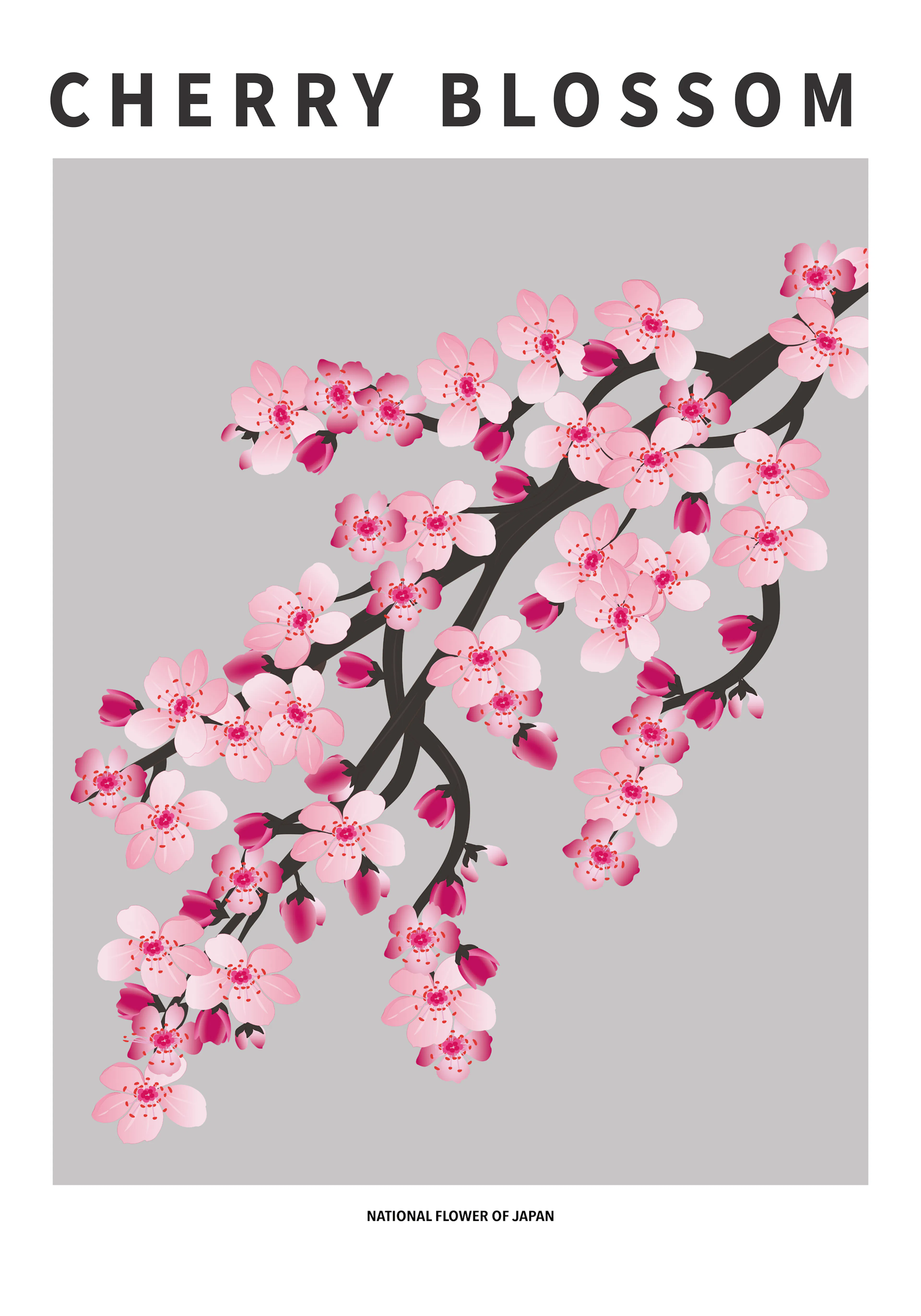 Product image: 1